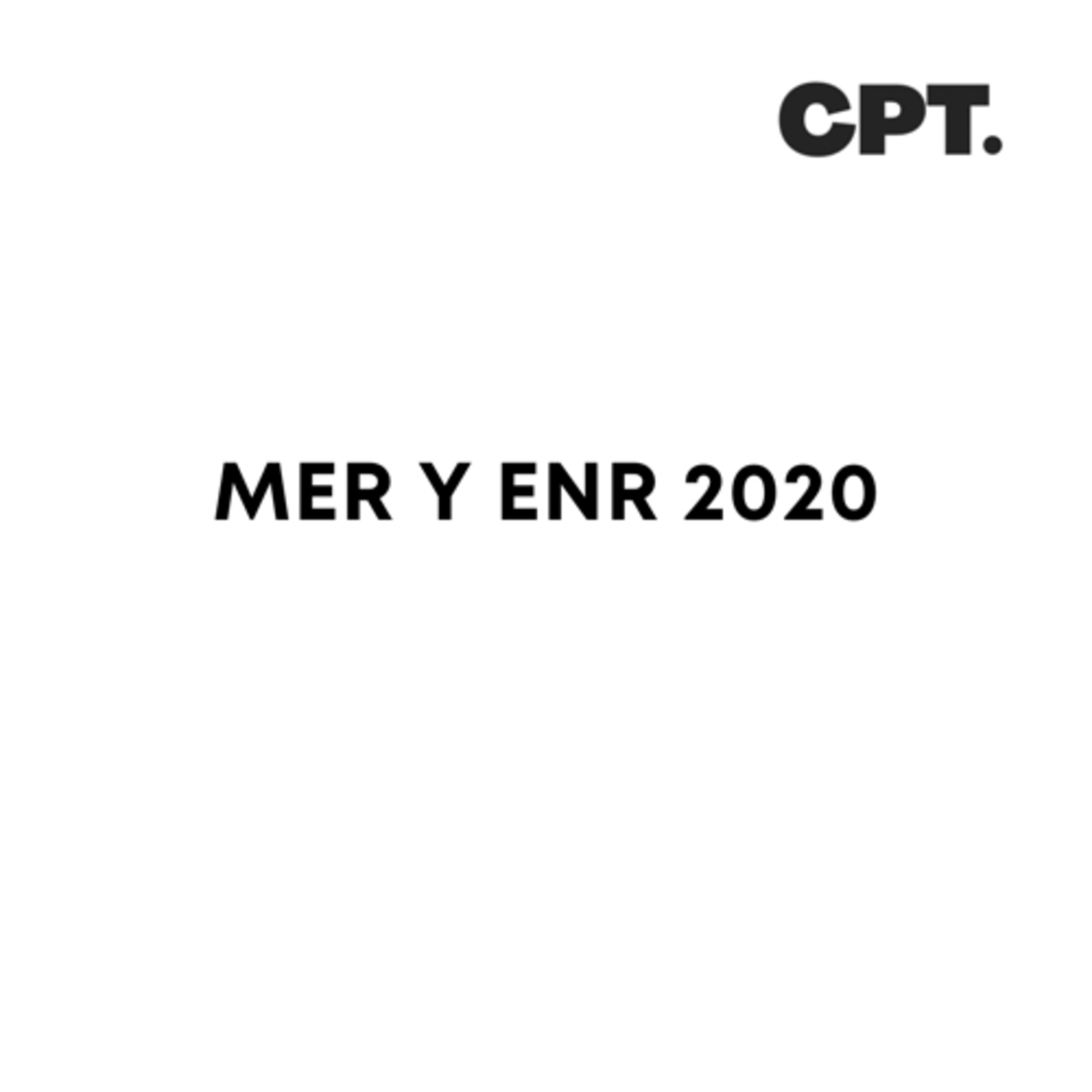 MER Y ENR 202