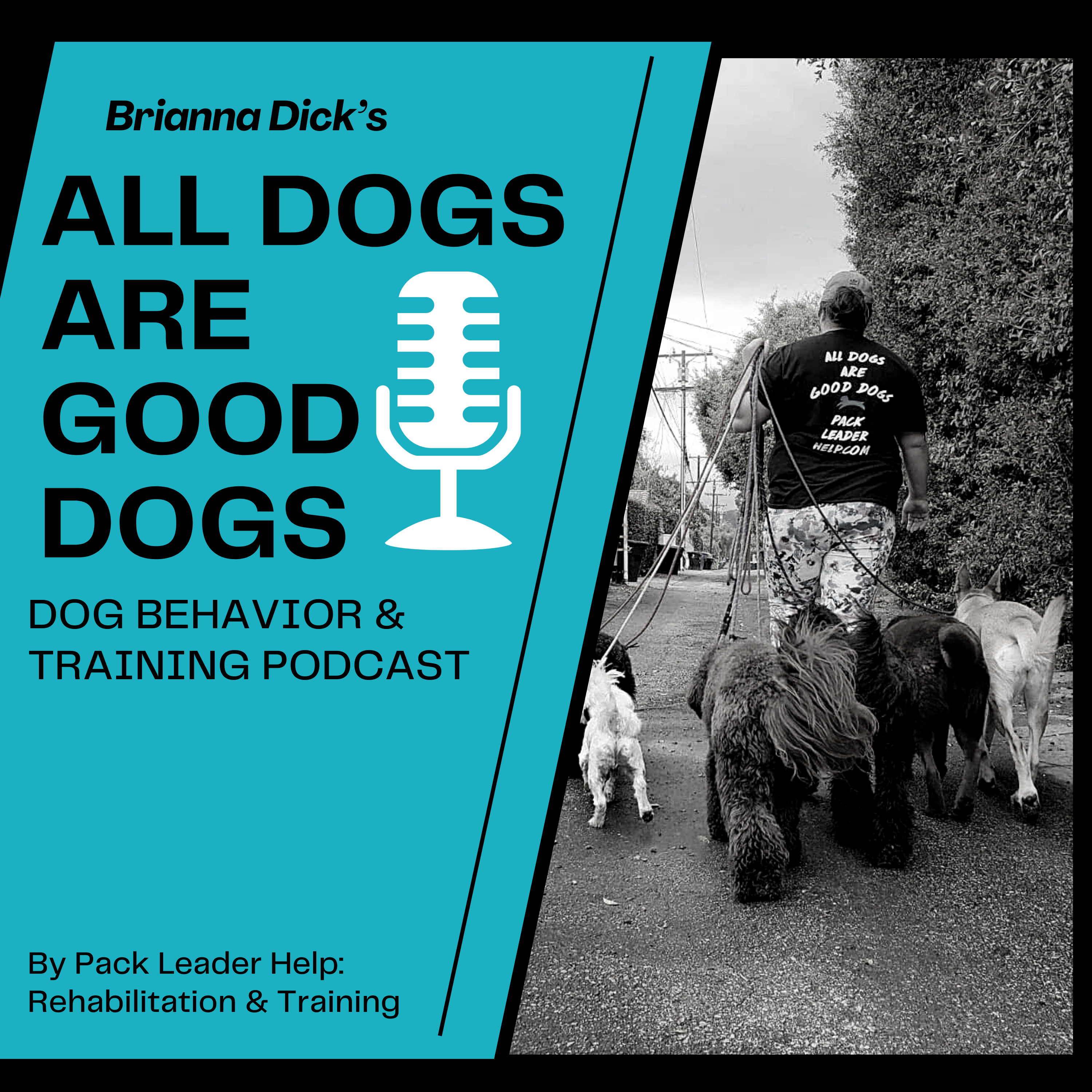 All Dogs are Good Dogs Ep 1: Meet your trainer, Brianna Dick episode artwork