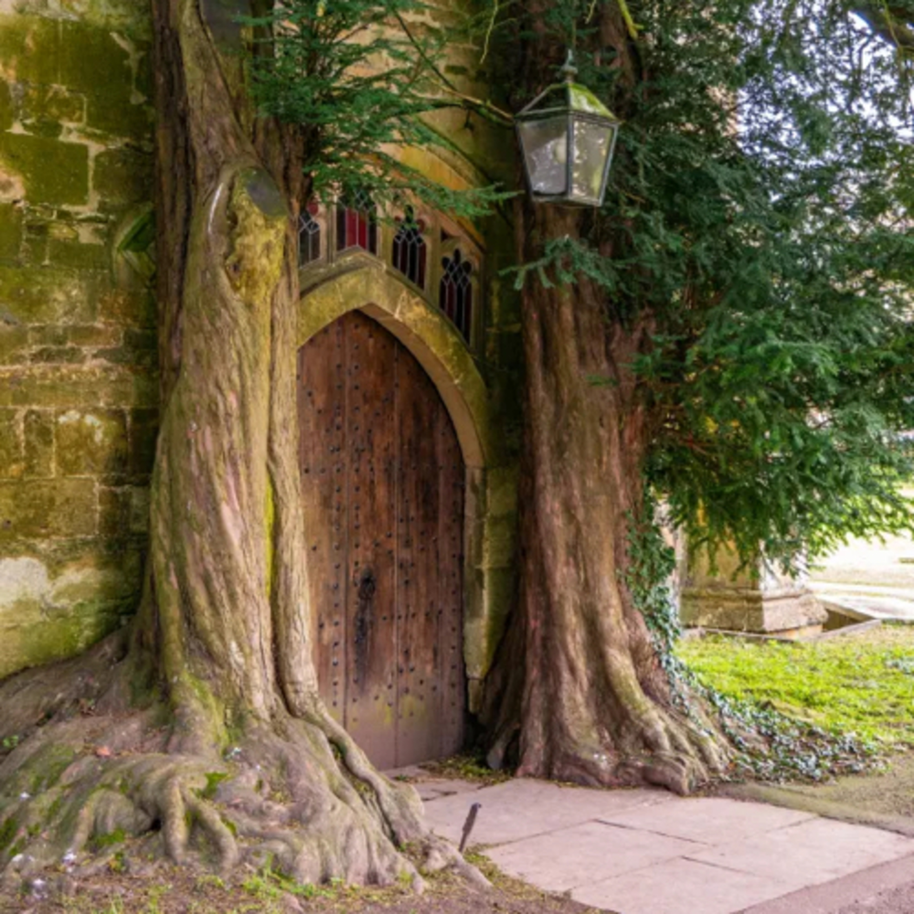 A Leisurely Stroll Through Middle-Earth