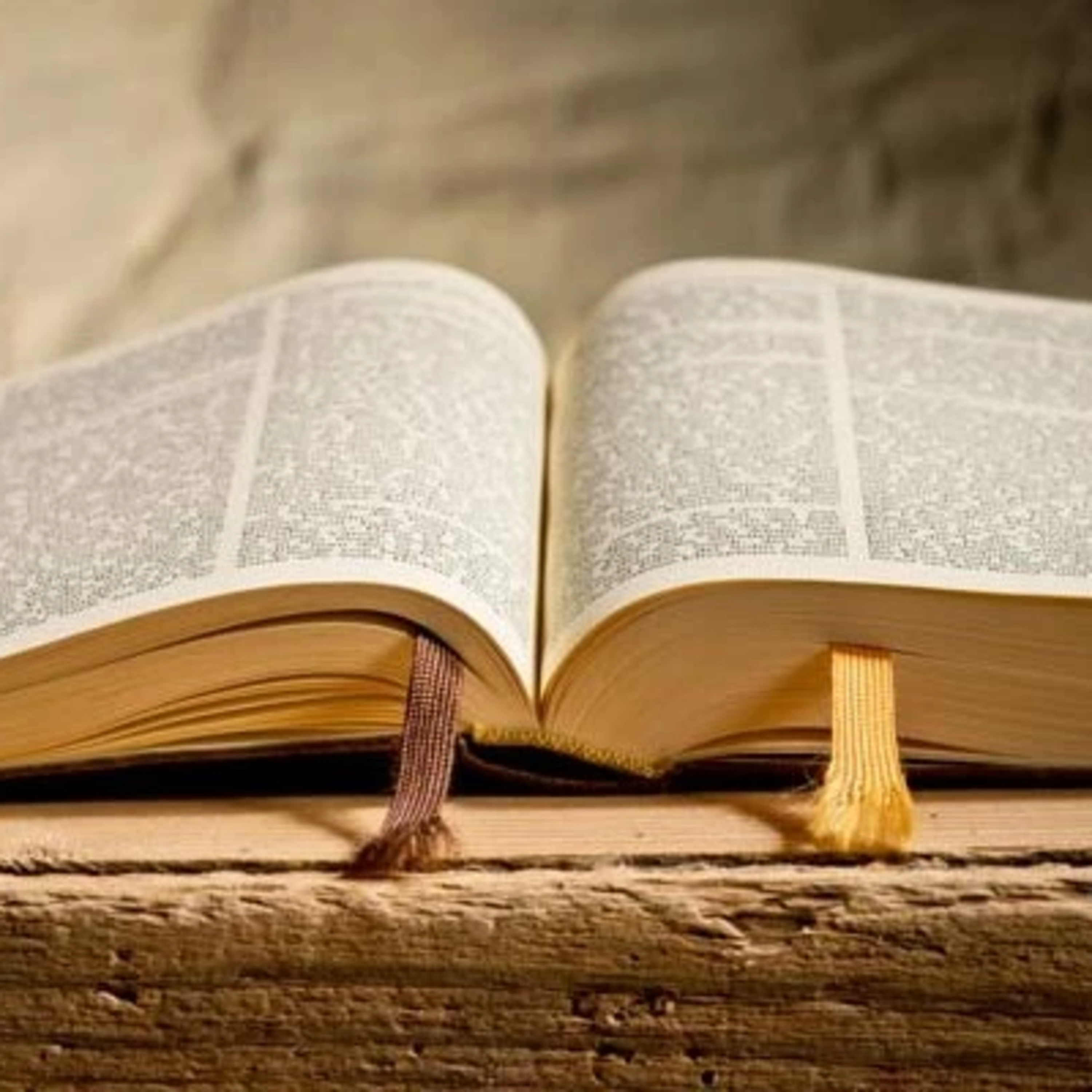 LA BIBLIA EL LIBRO DE CUENTO MAS VENDIDO EN EL MUNDO EL ABORTO UN ACTO DE AMOR  episode artwork