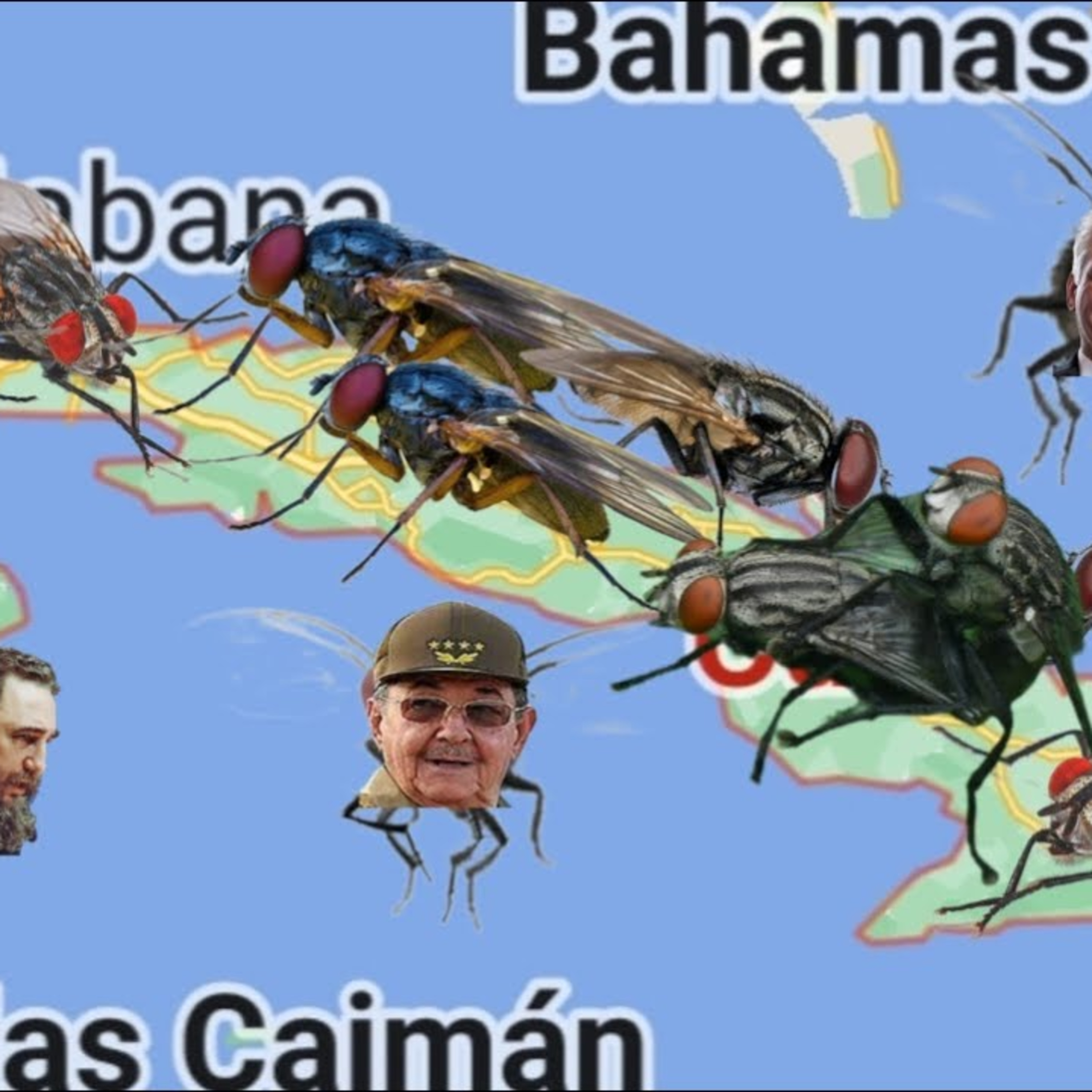 CUBA EL PAÍS DE LAS MOSCAS CUBA UN PAÍS DEVASTADO POR UNA DICTADURA COMUNISTA POR 63 AÑOS episode artwork