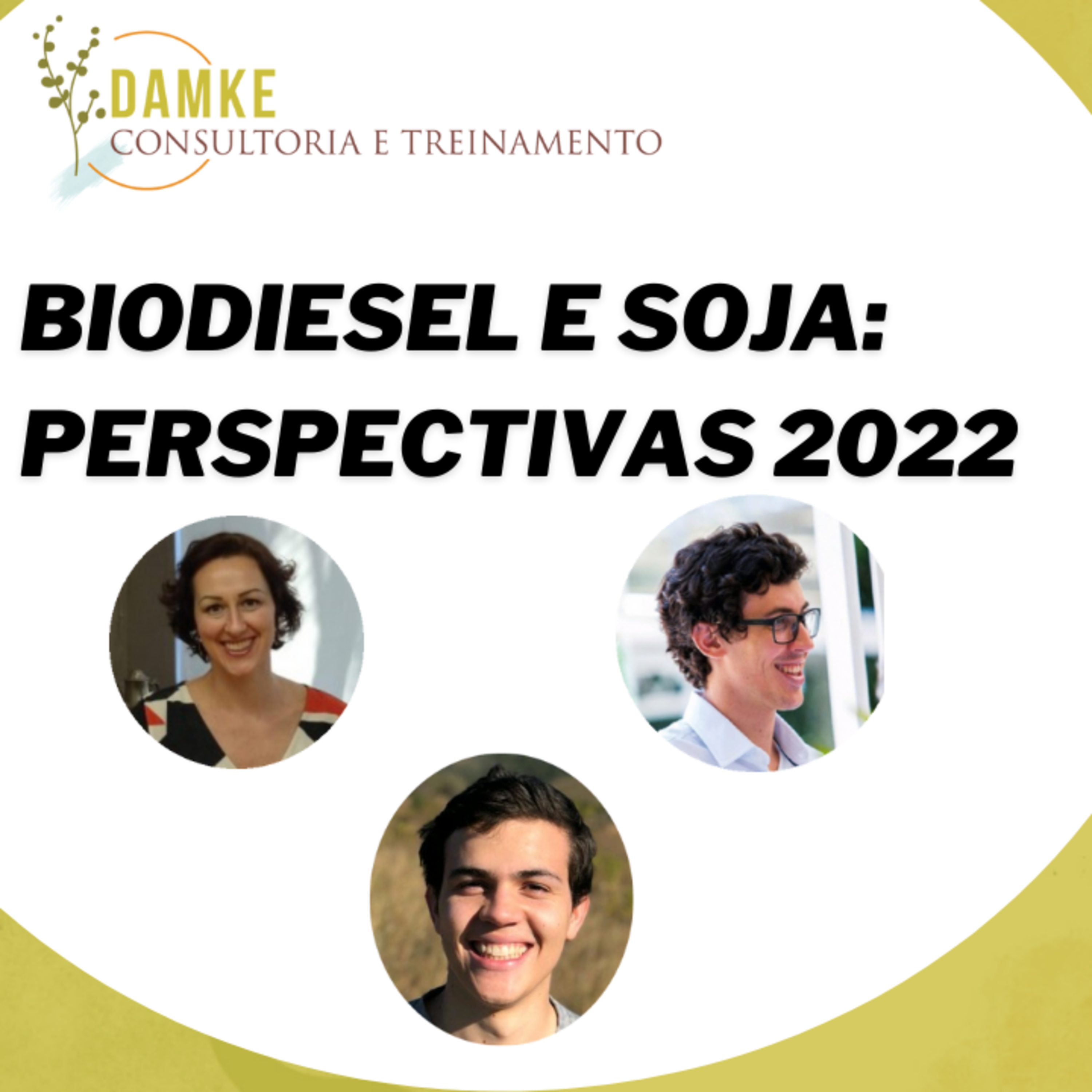 Damke Consultoria e Treinamento