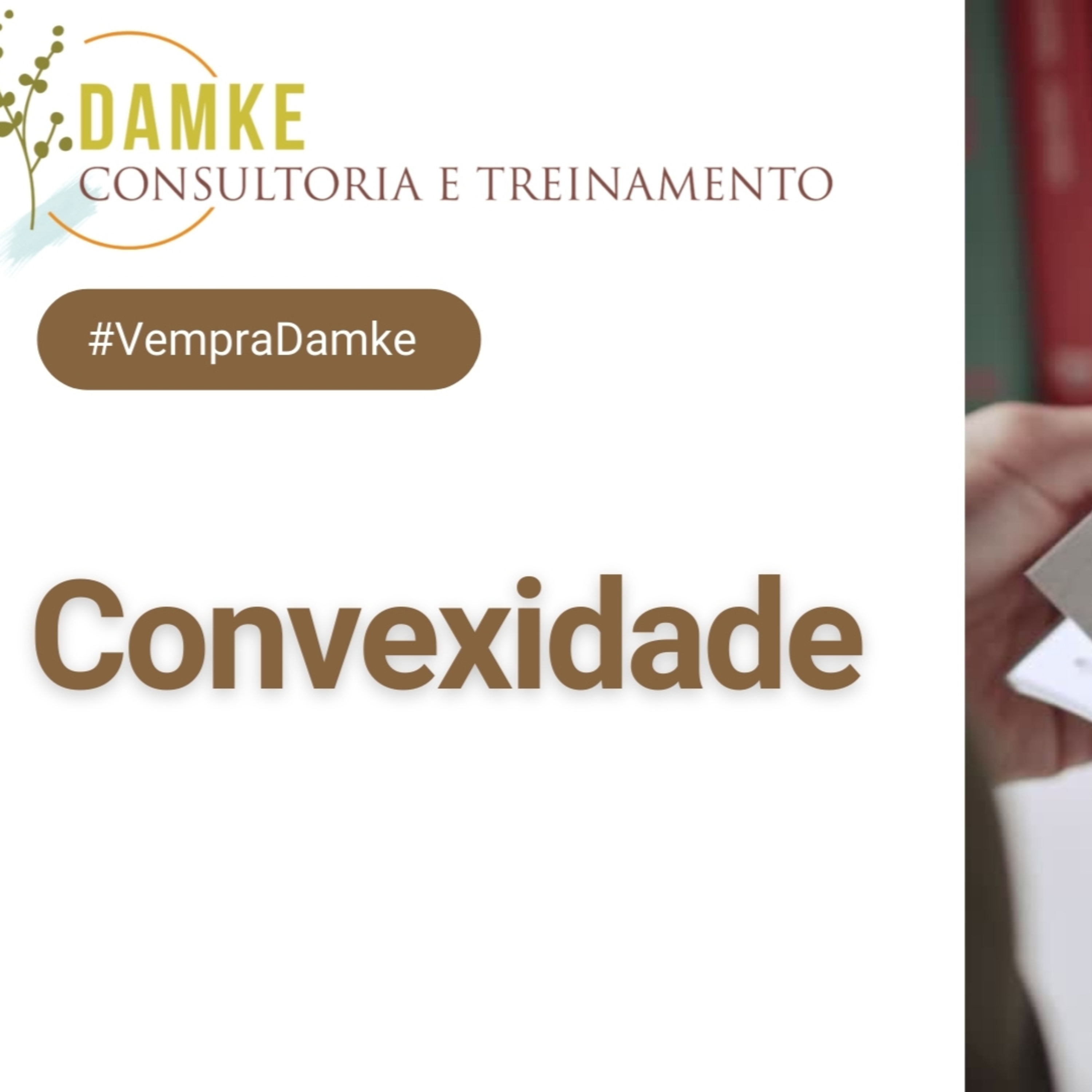 Damke Consultoria e Treinamento
