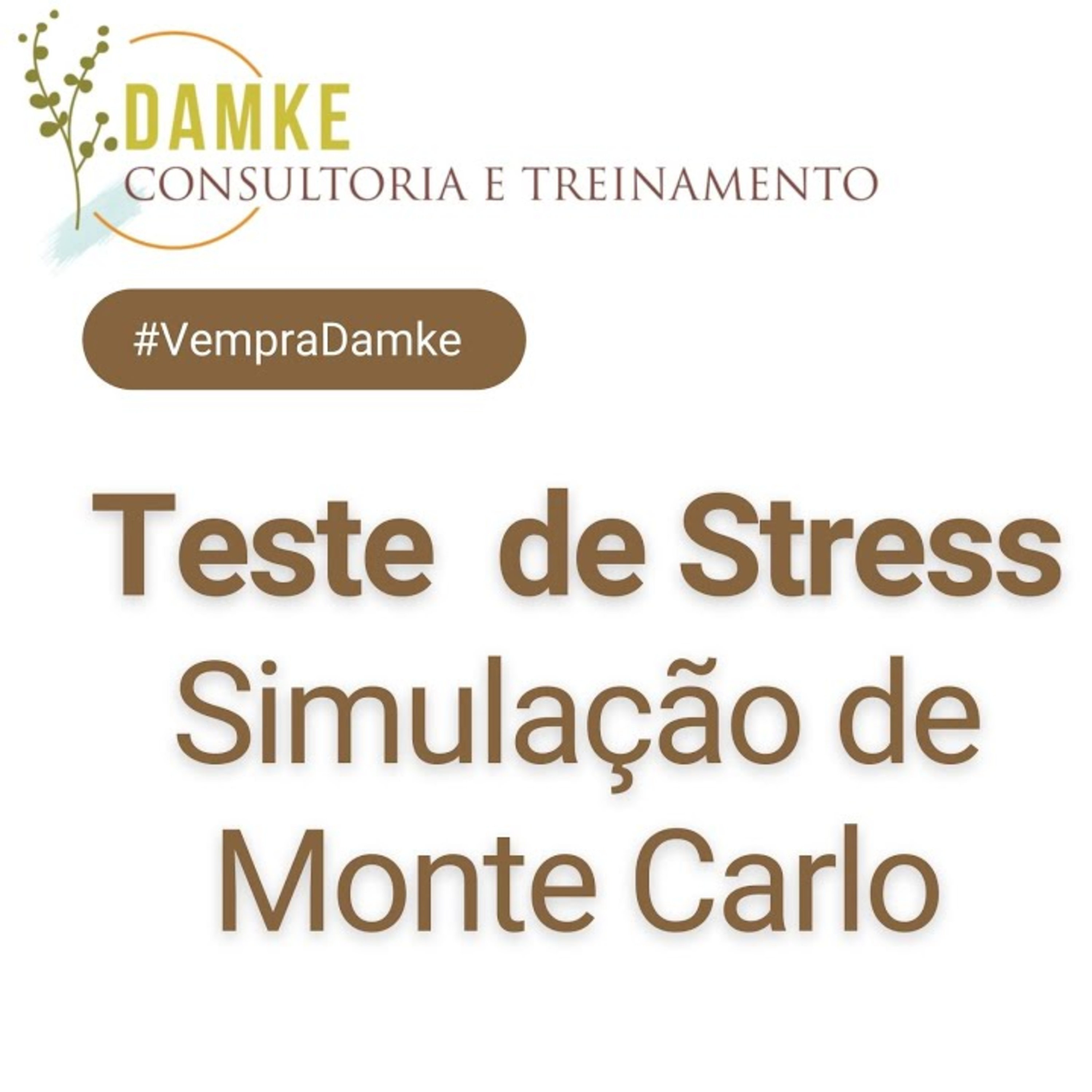 Damke Consultoria e Treinamento