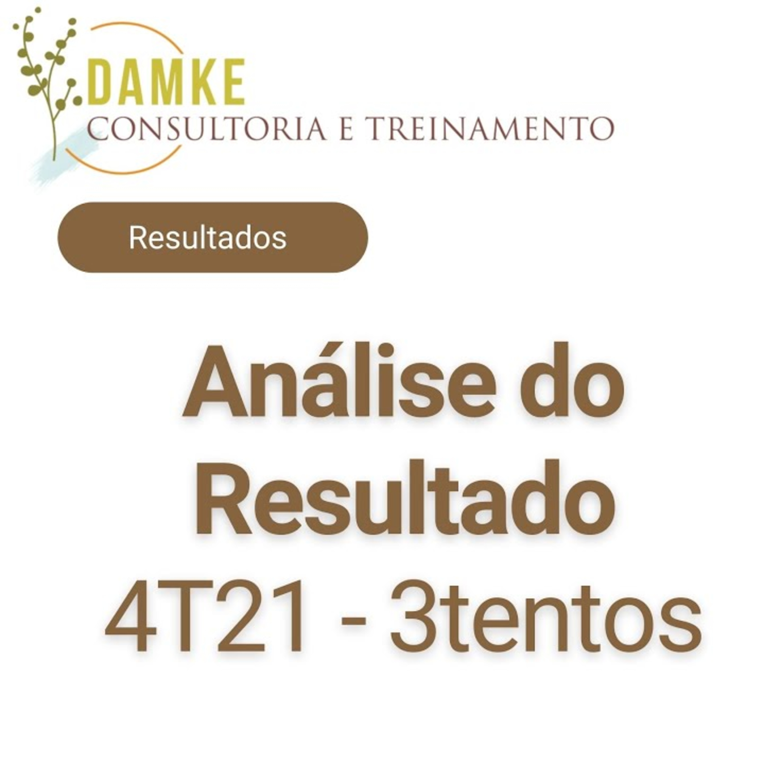 Damke Consultoria e Treinamento