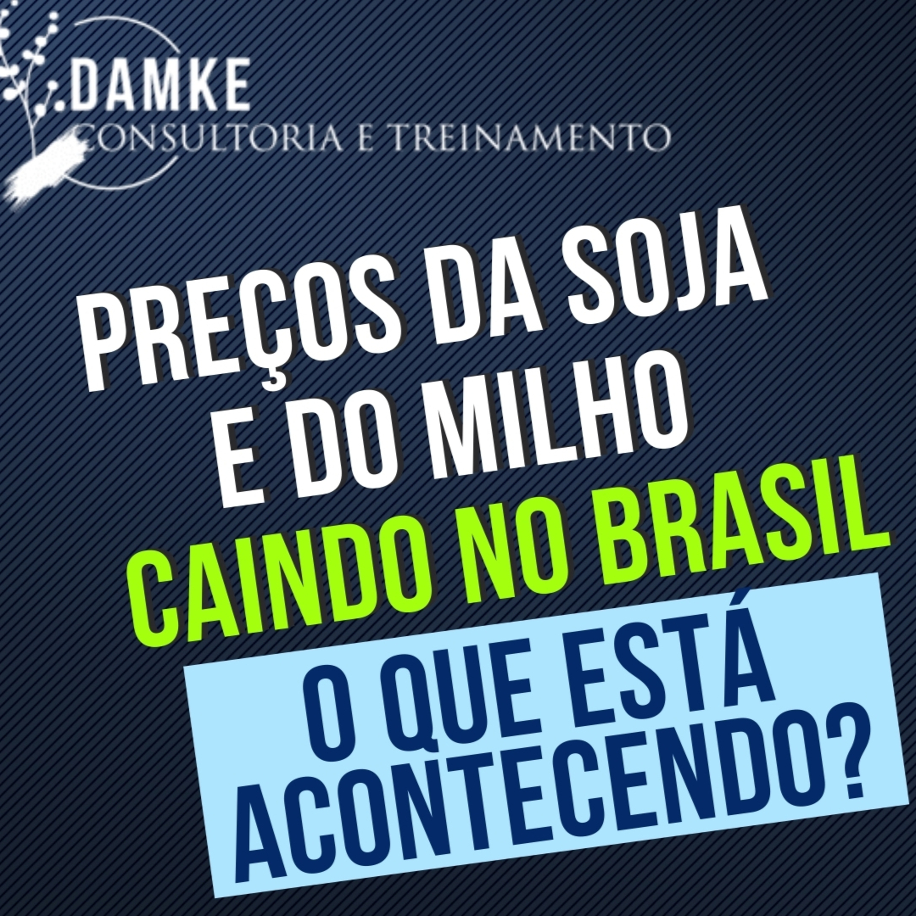 Damke Consultoria e Treinamento