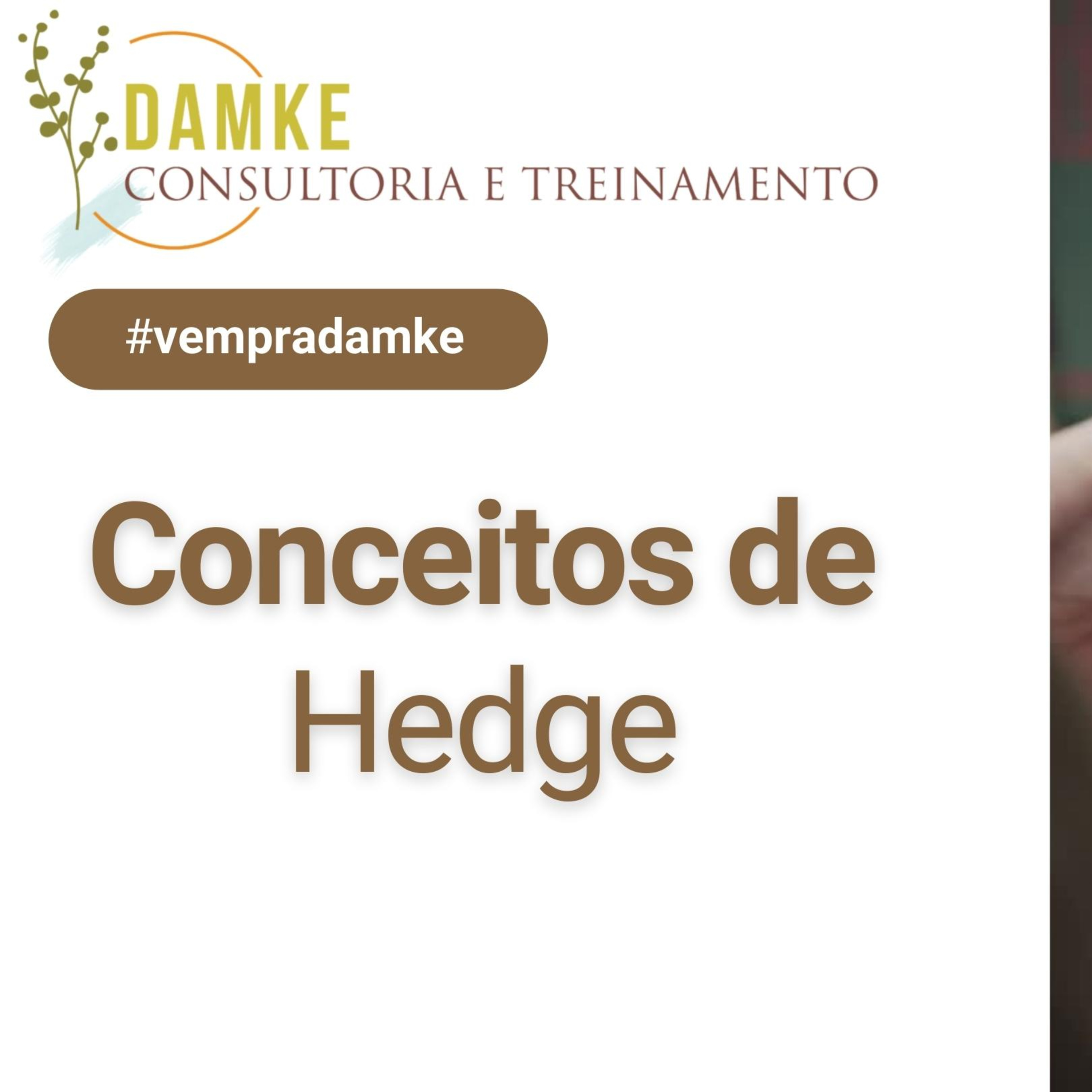 Damke Consultoria e Treinamento