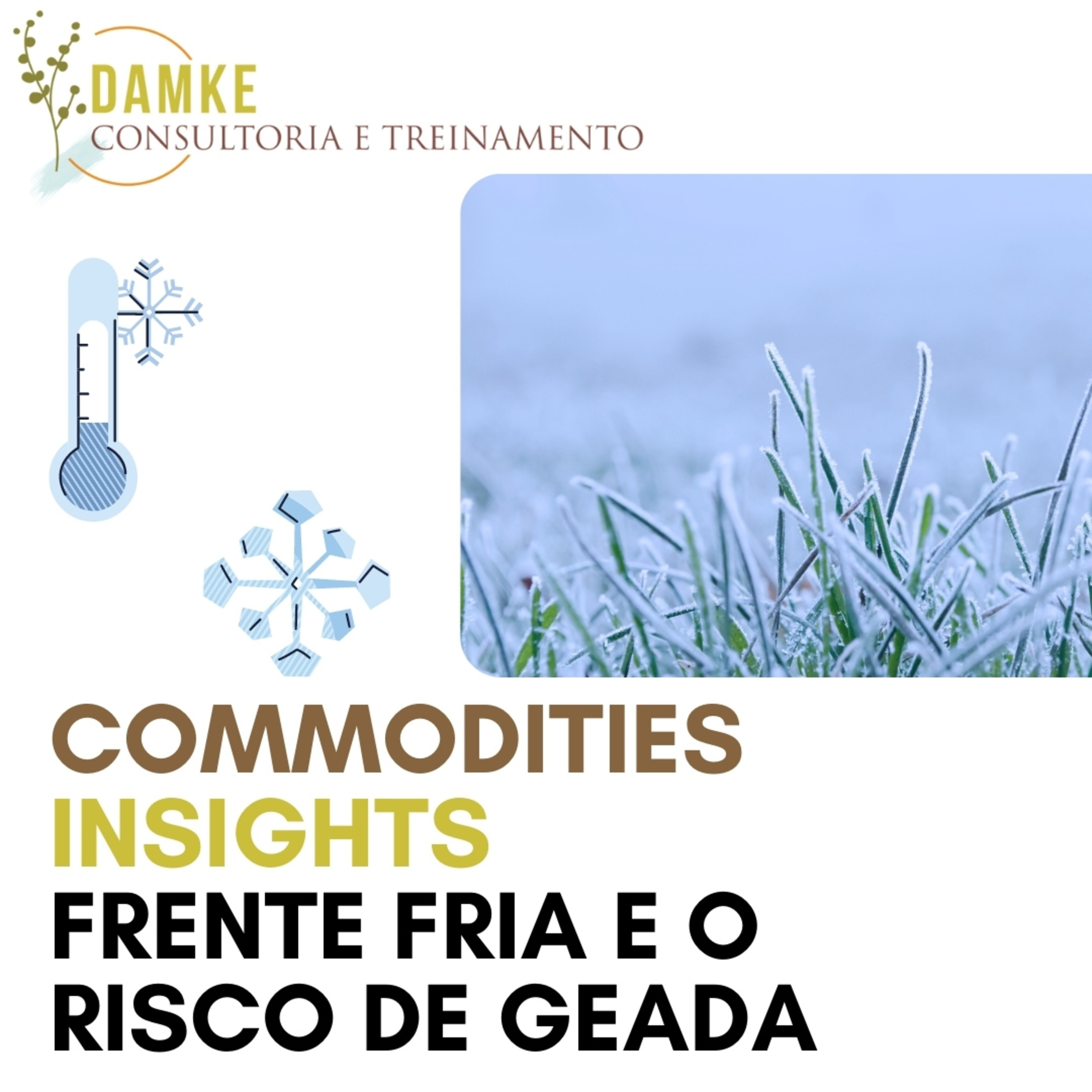 Damke Consultoria e Treinamento