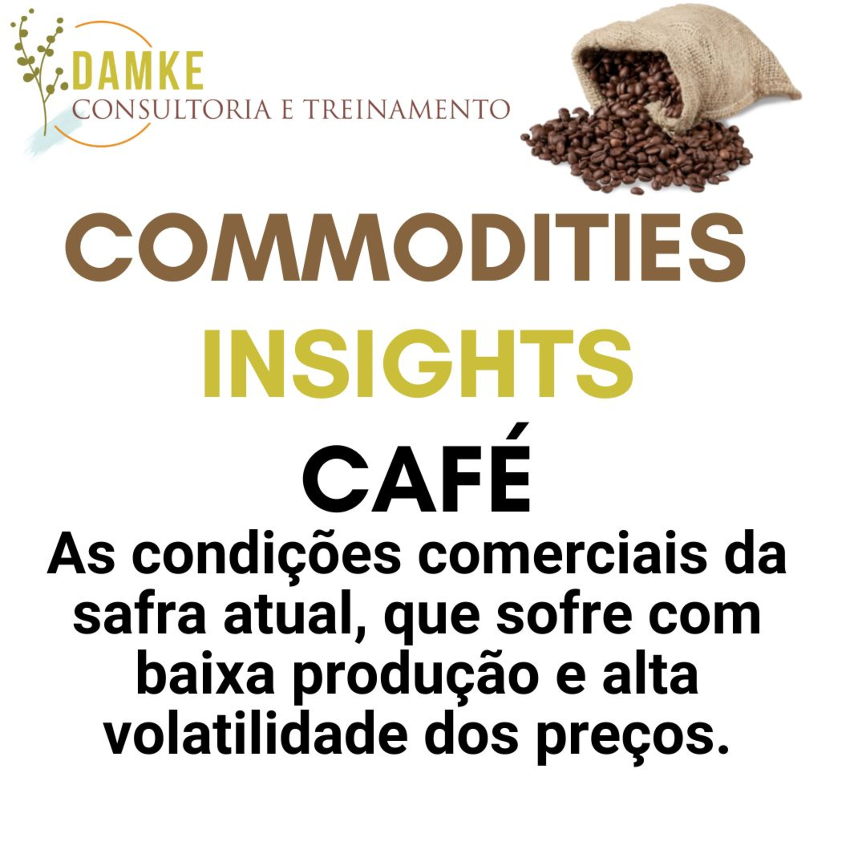 Damke Consultoria e Treinamento