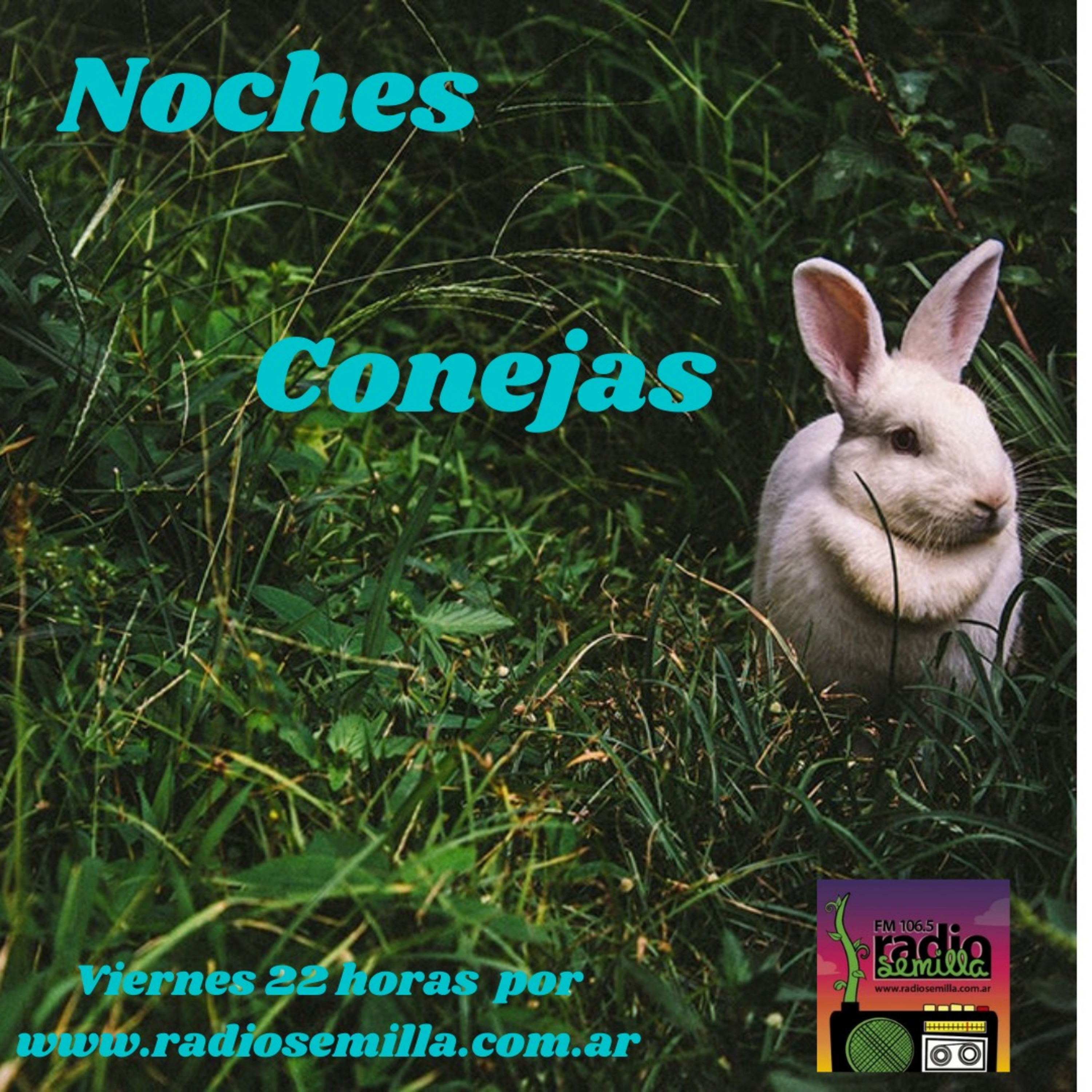 Noches Conejas