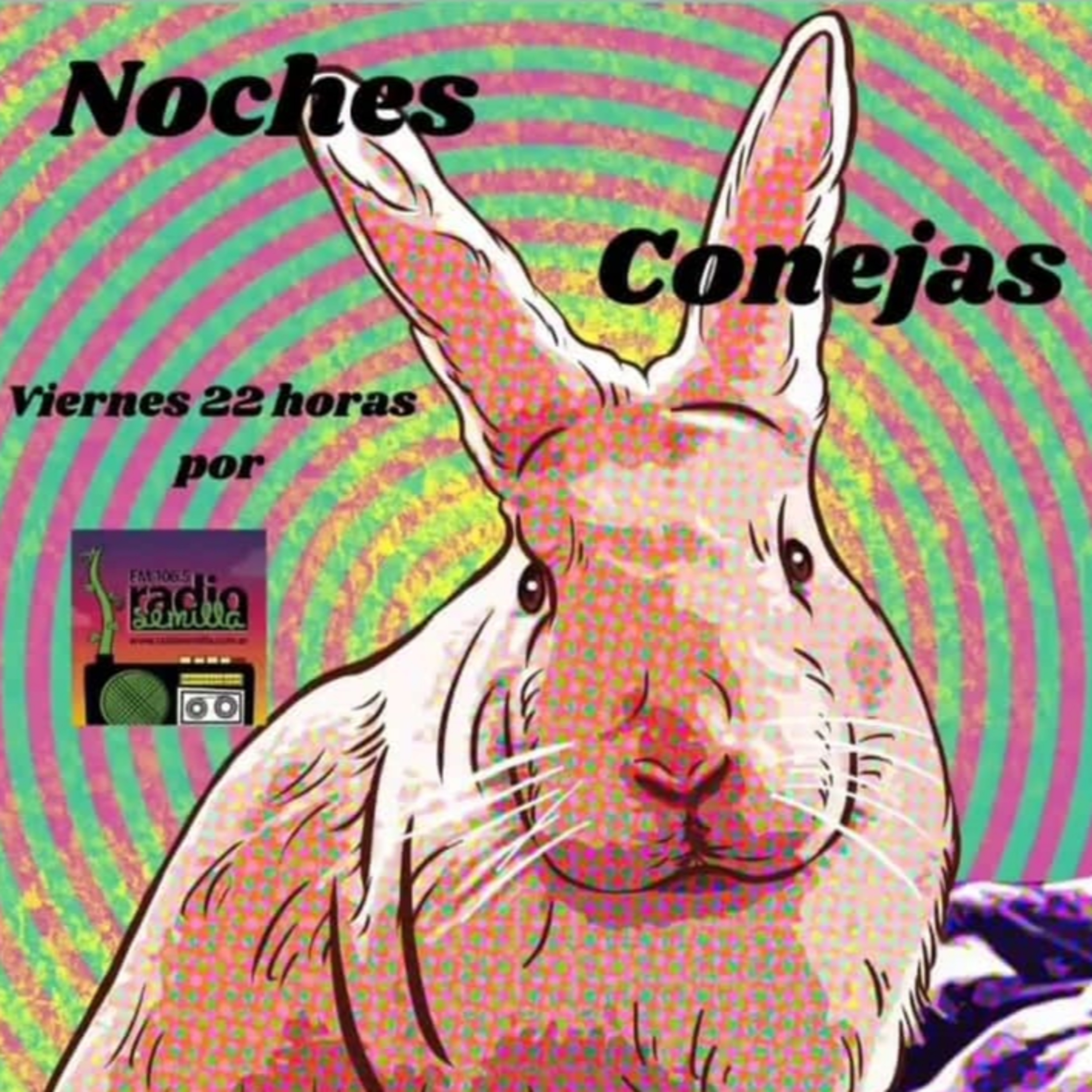 Noches Conejas