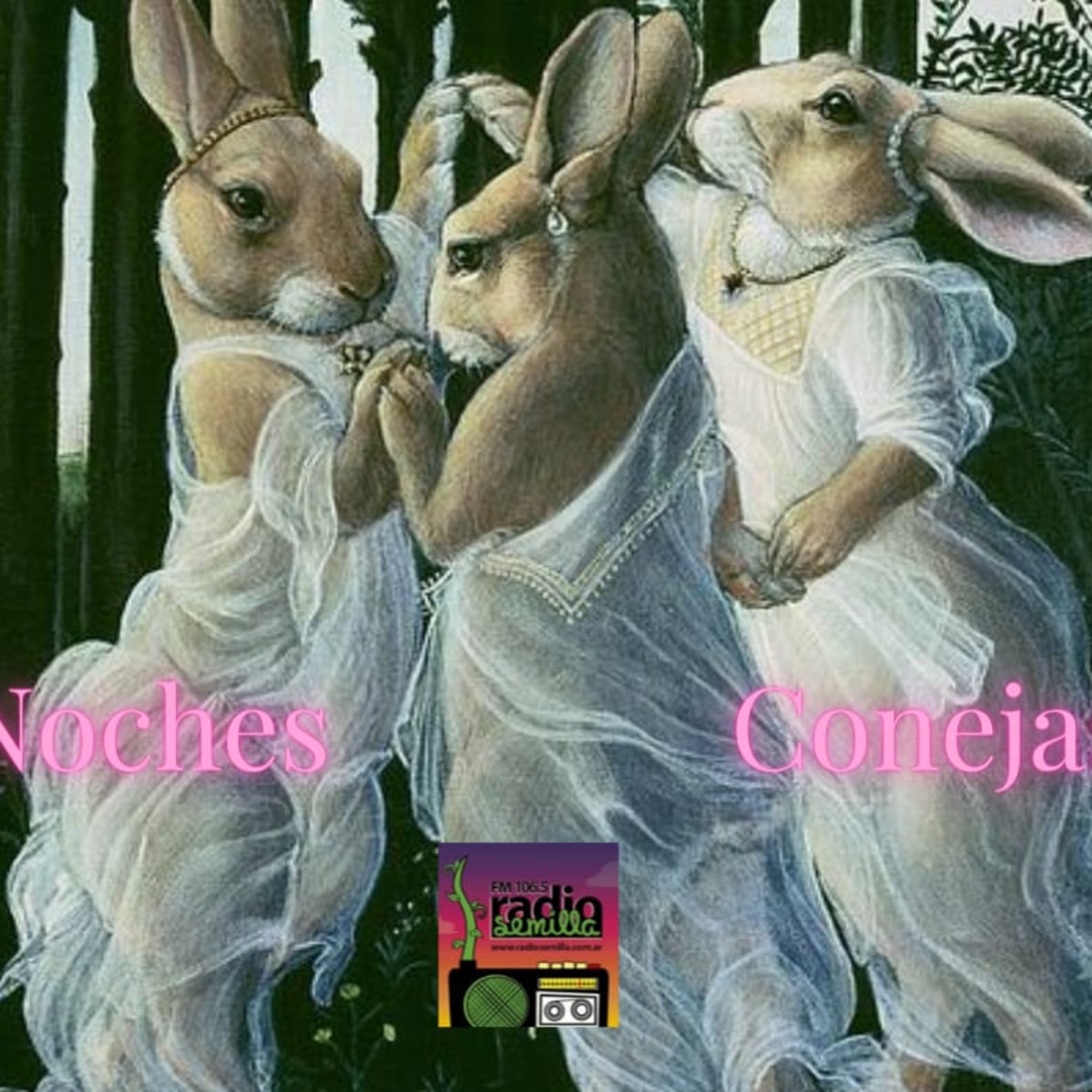 Noches Conejas