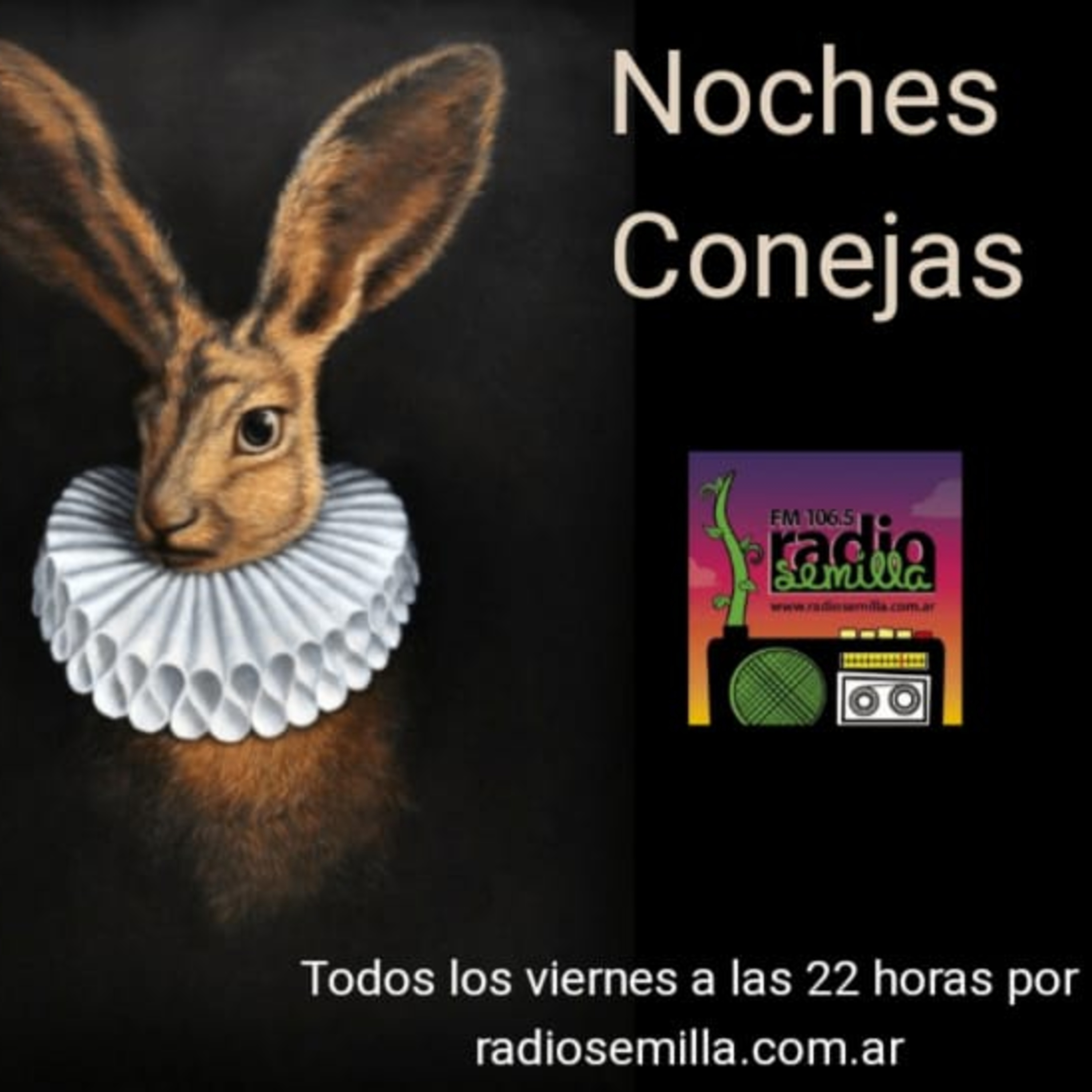 Noches Conejas