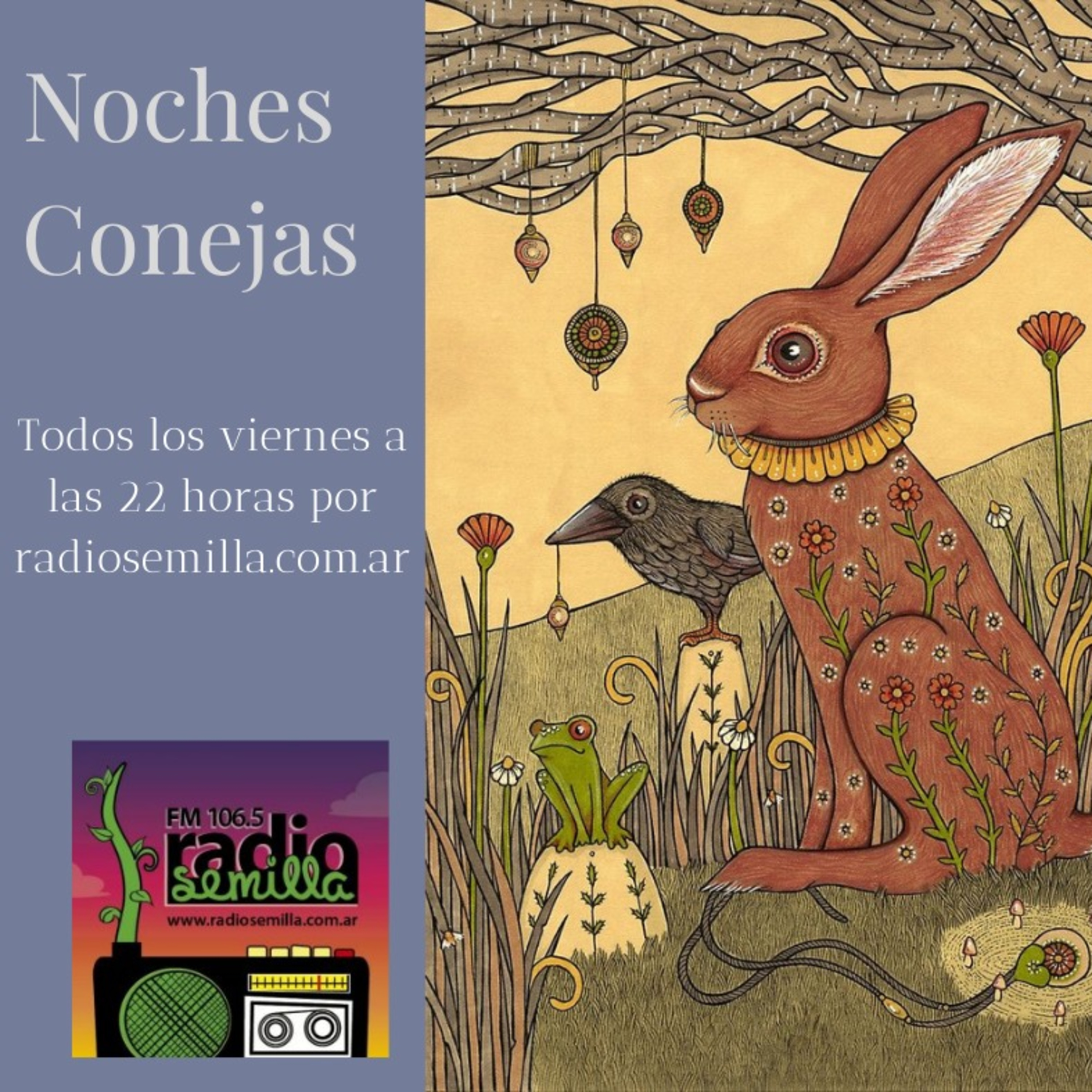 Noches Conejas