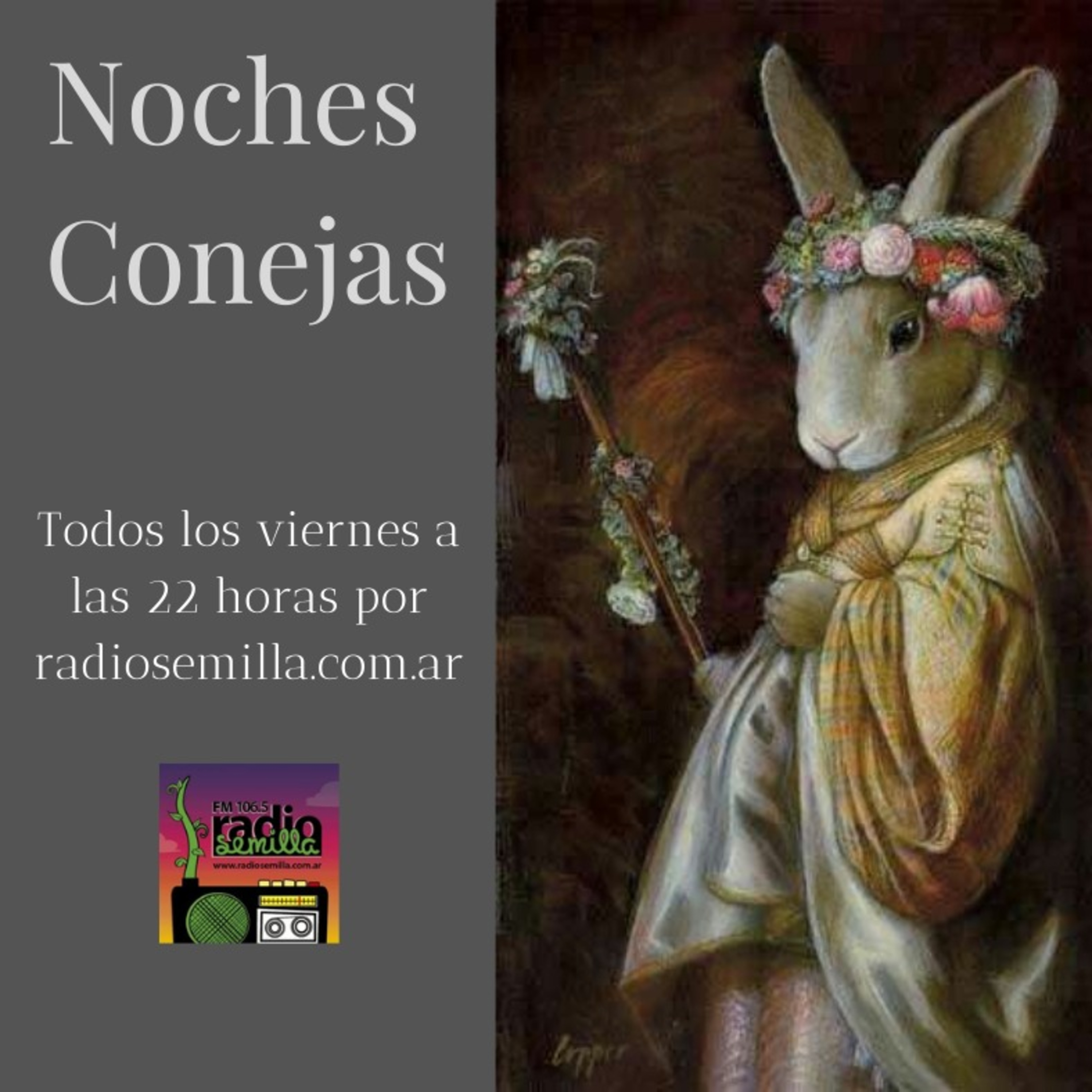Noches Conejas