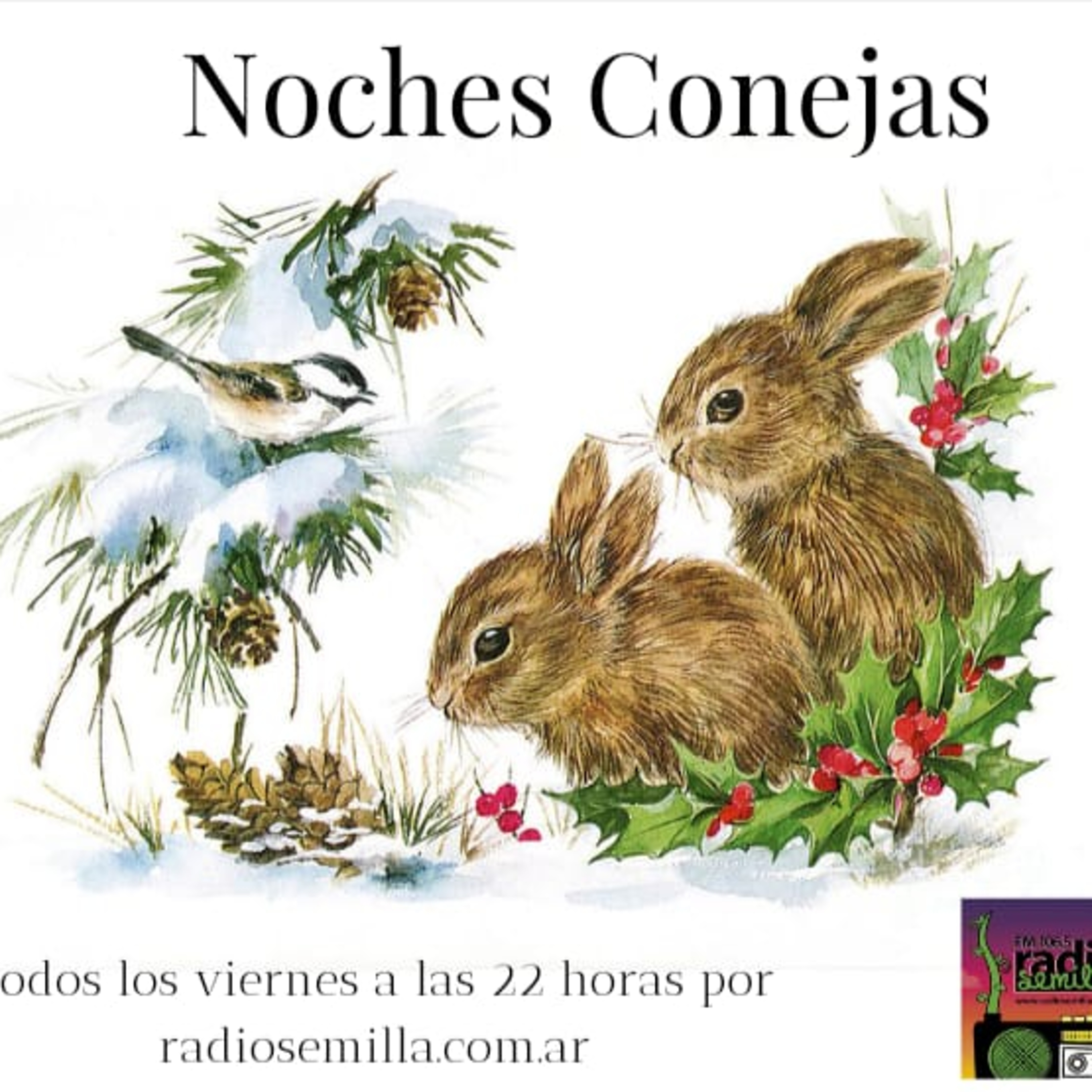 Noches Conejas