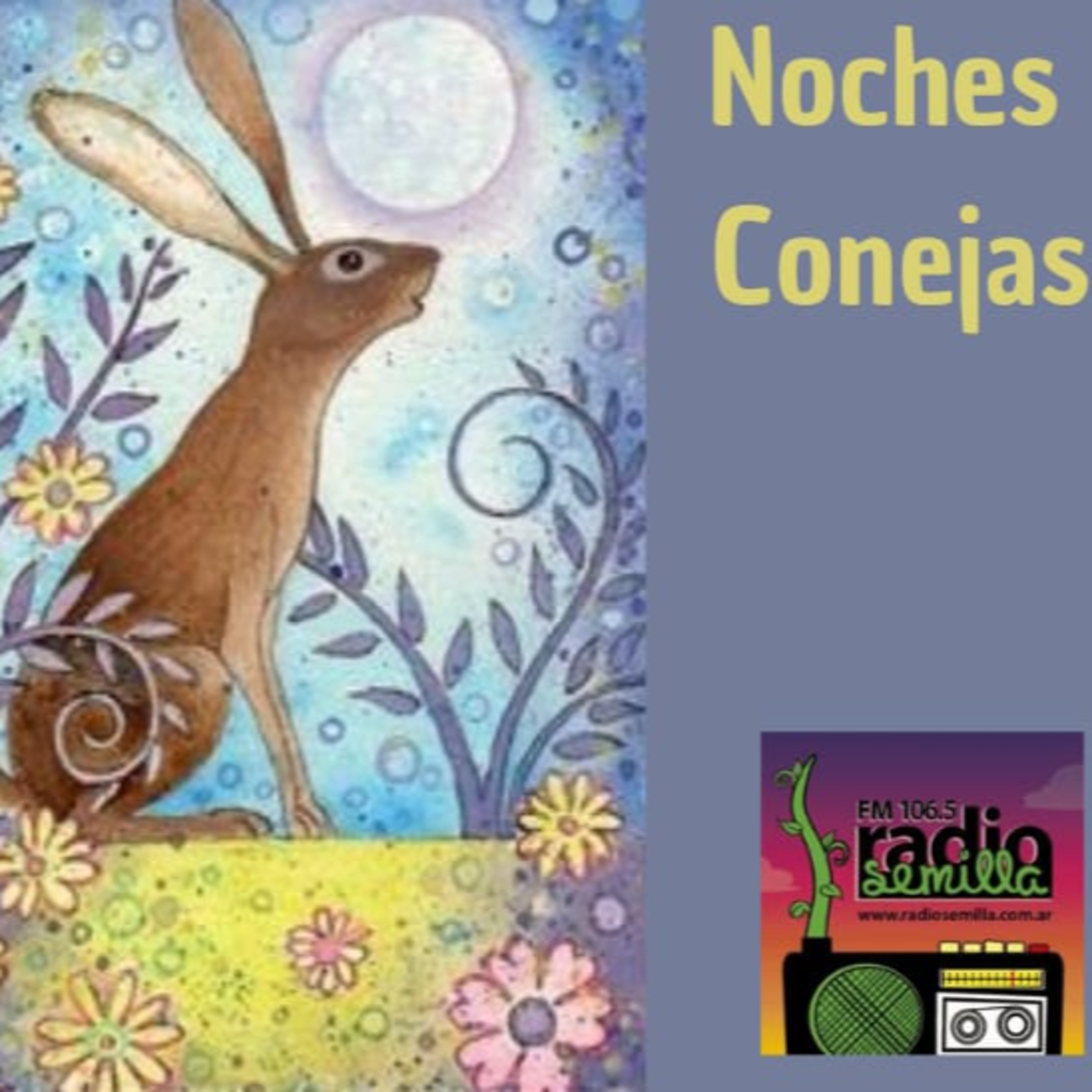 Noches Conejas