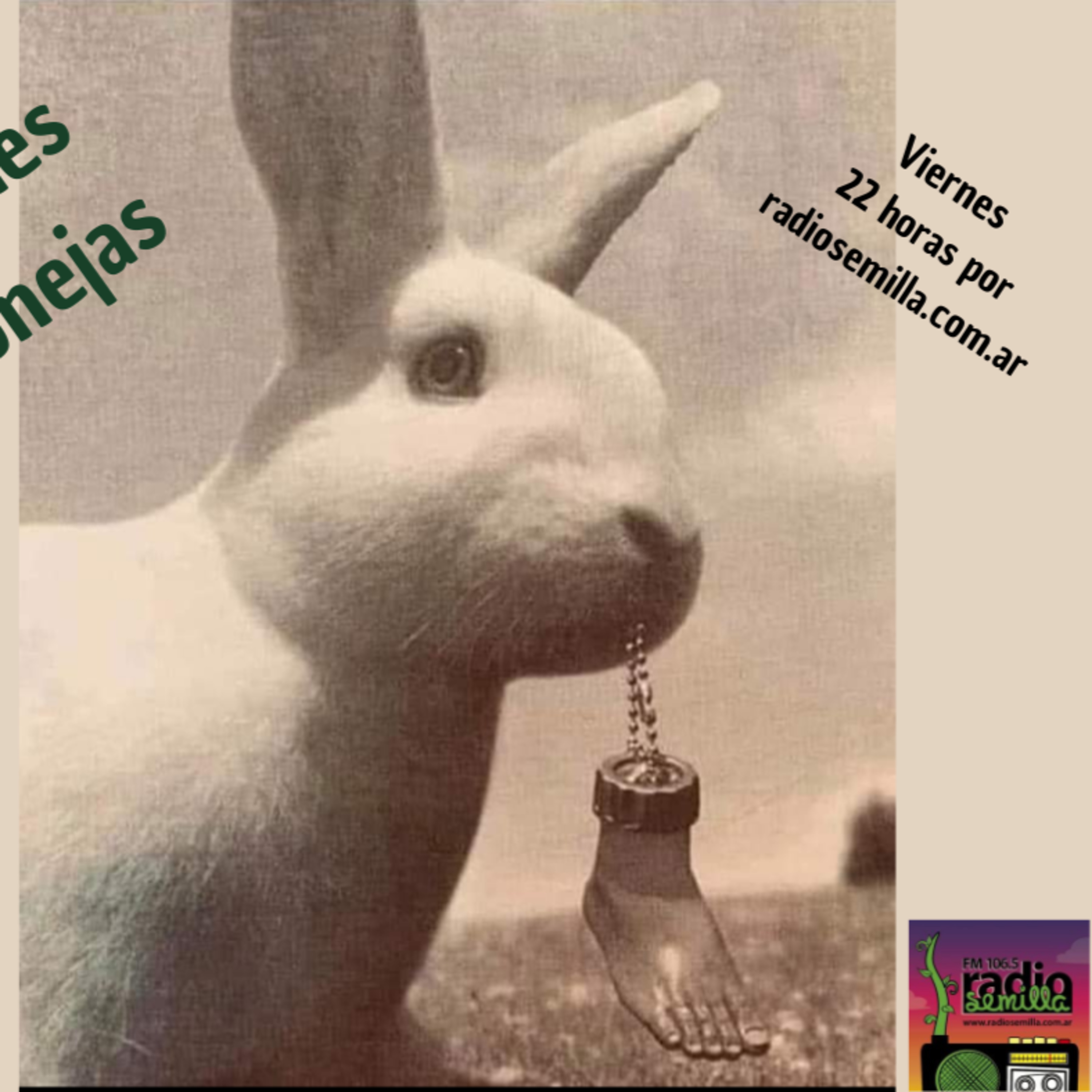Noches Conejas