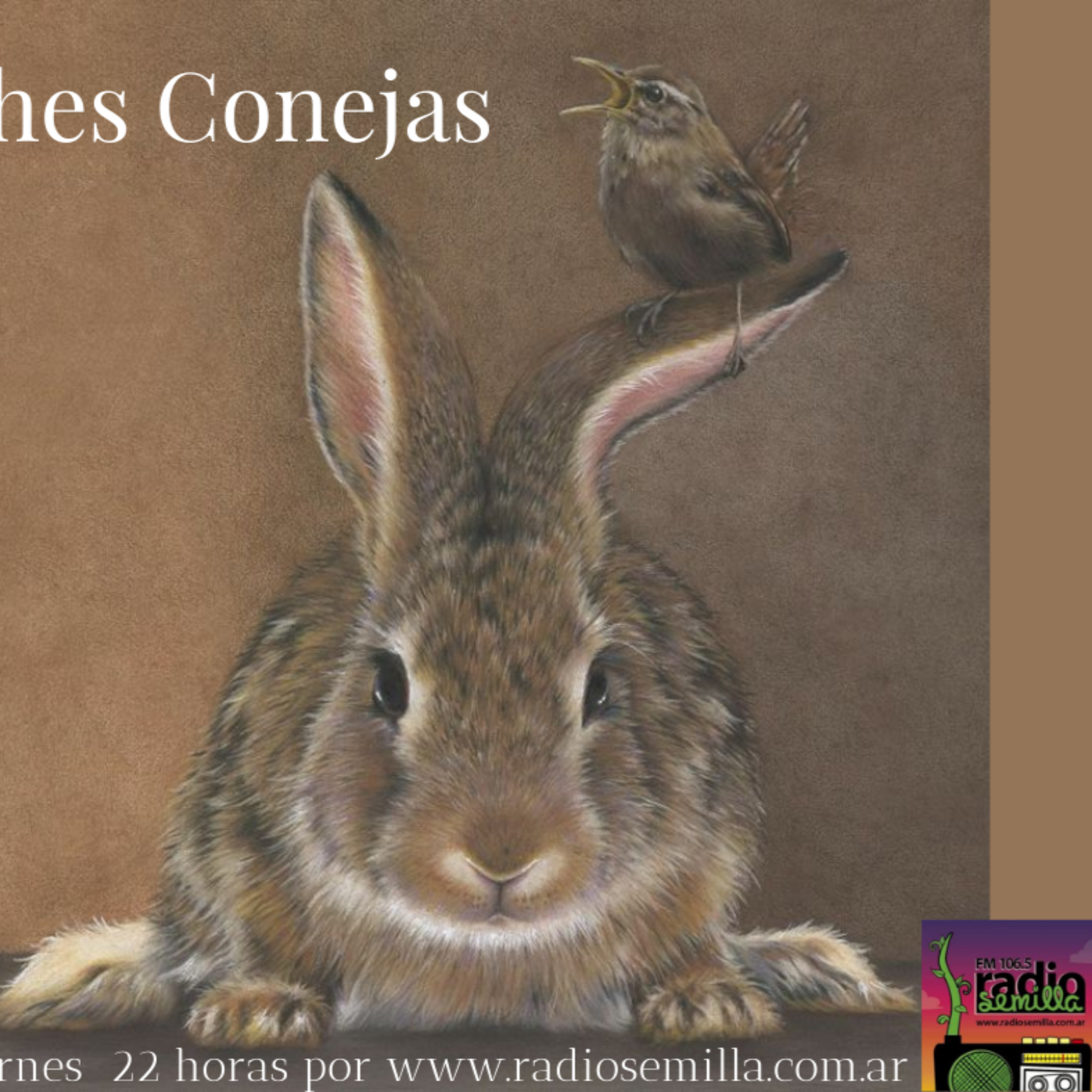 Noches Conejas