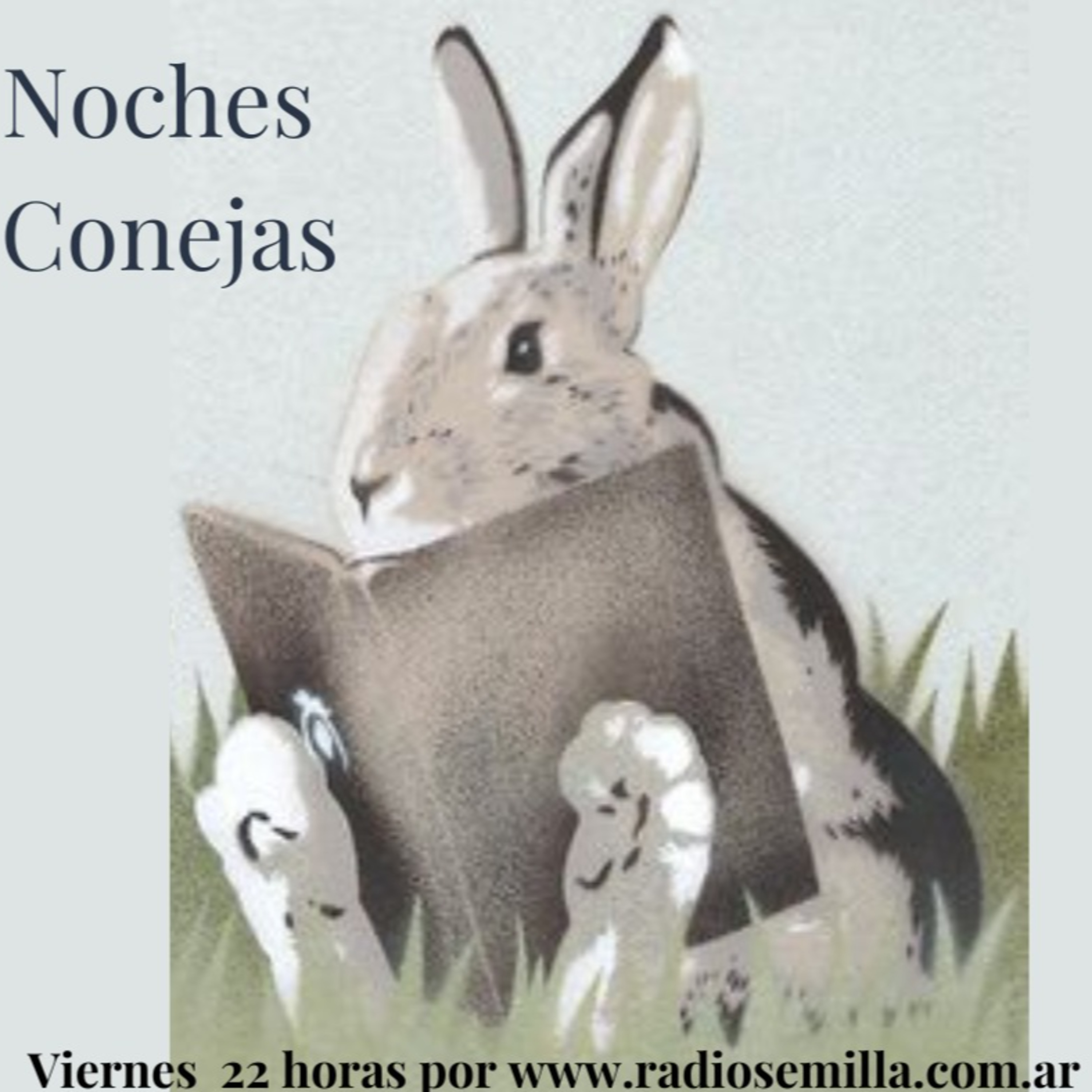 Noches Conejas