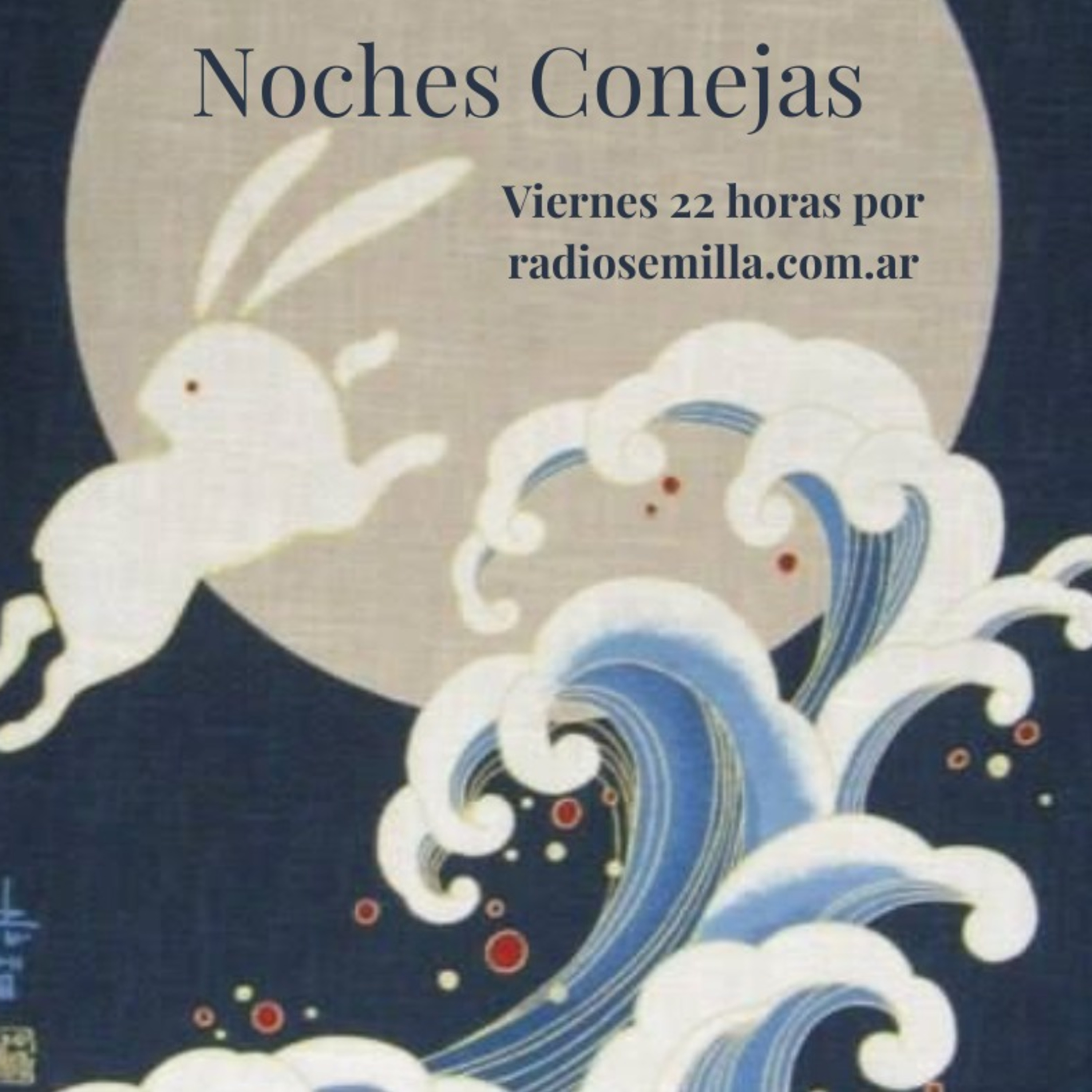Noches Conejas