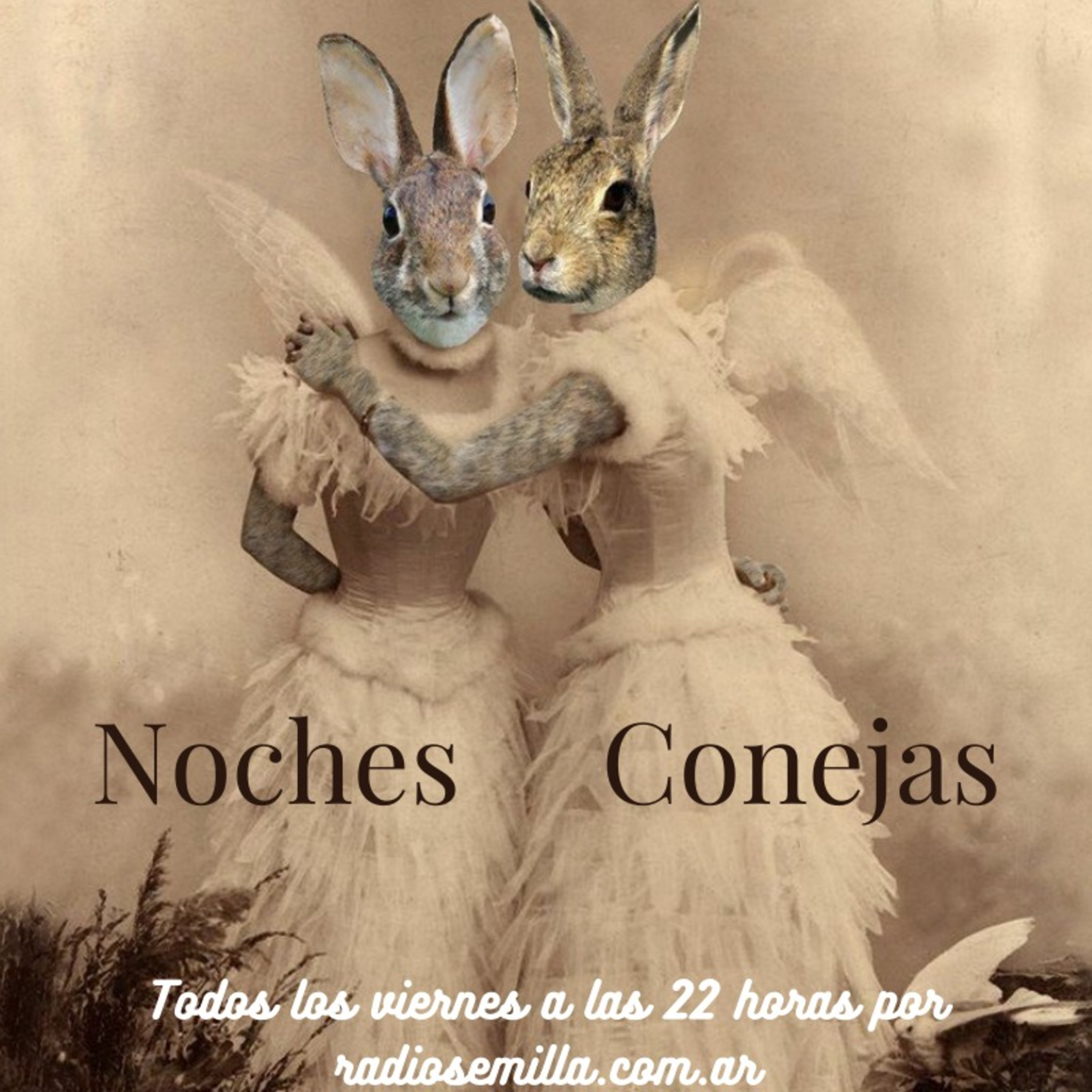 Noches Conejas
