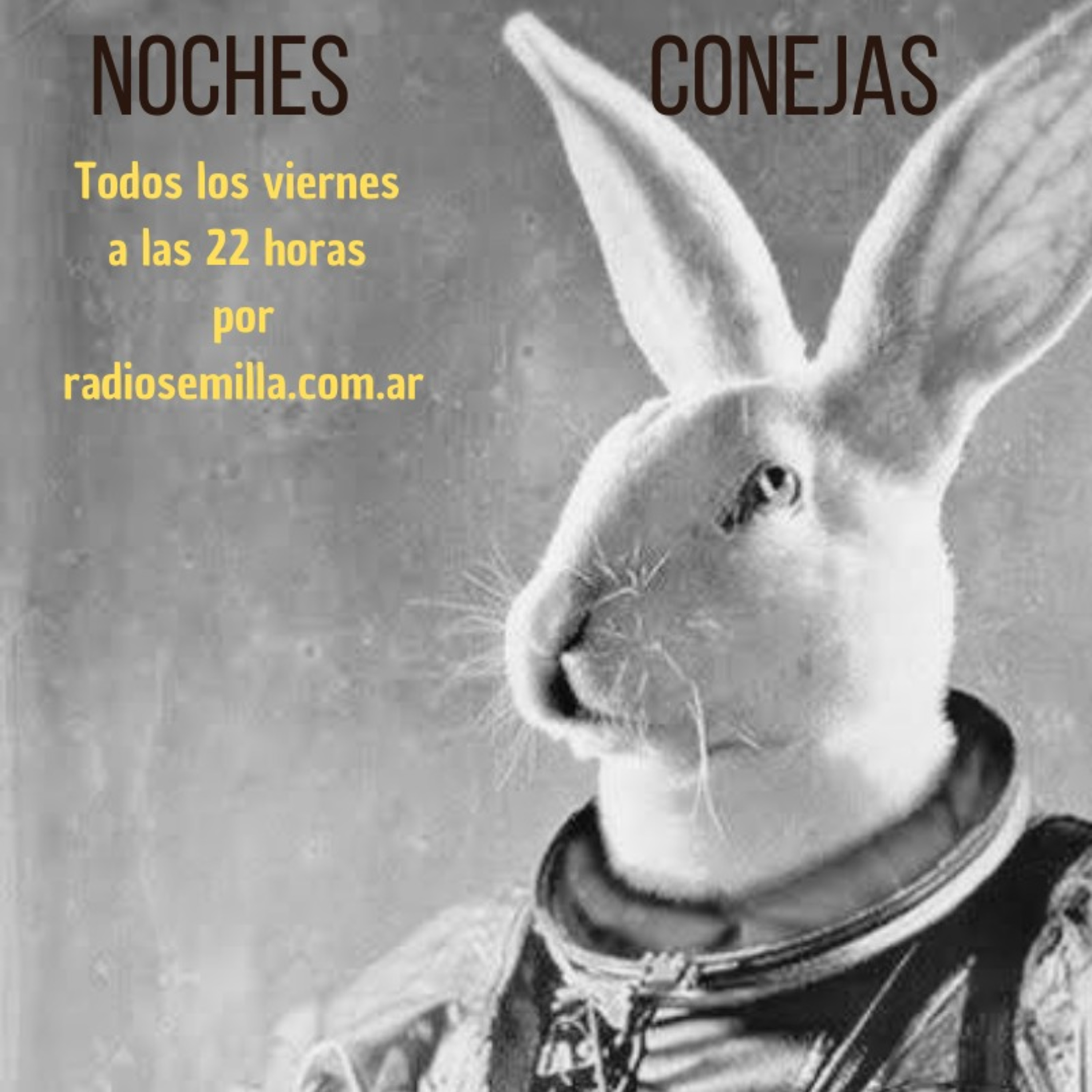 Noches Conejas