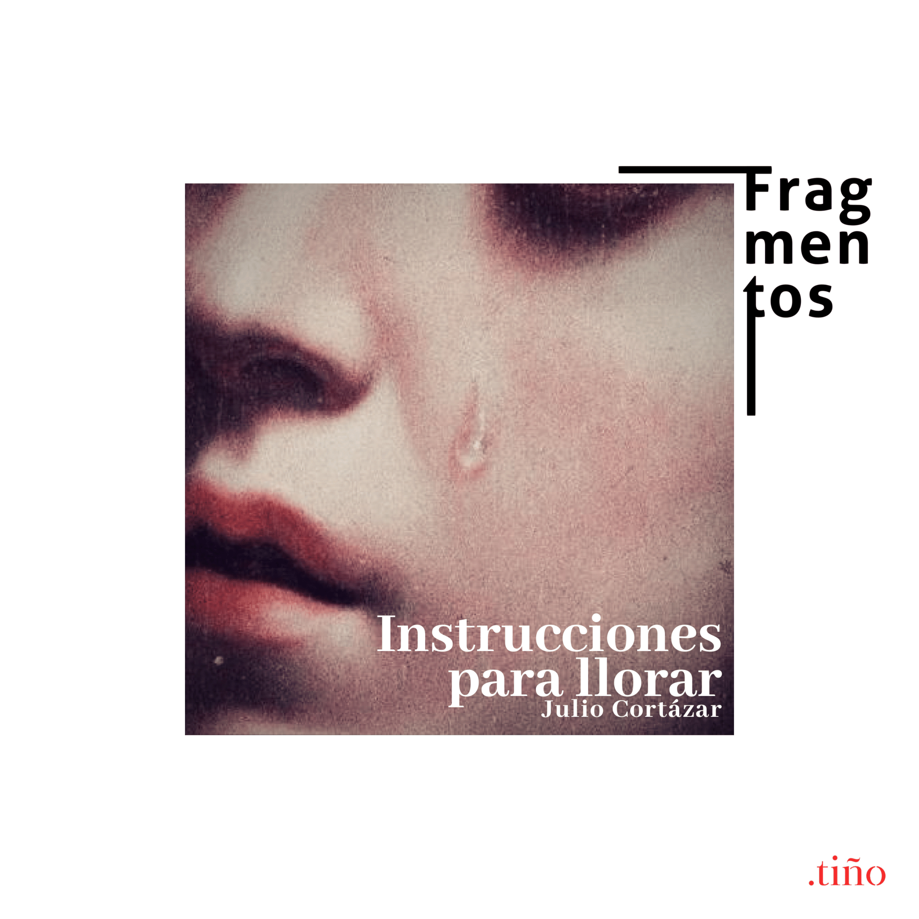 Instrucciones para llorar - Julio Cortázar episode artwork