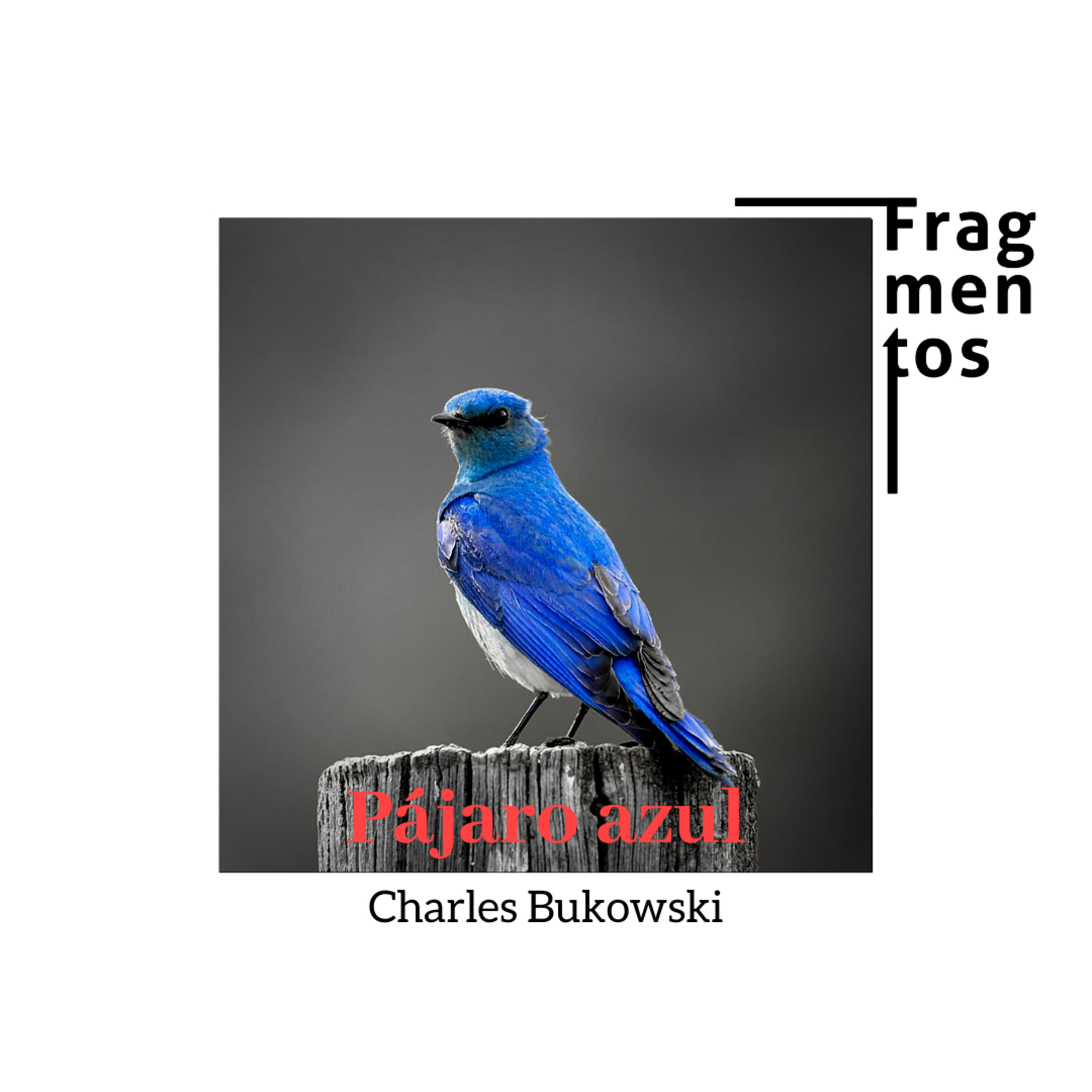 Pájaro azul - Charles Bukowski episode artwork