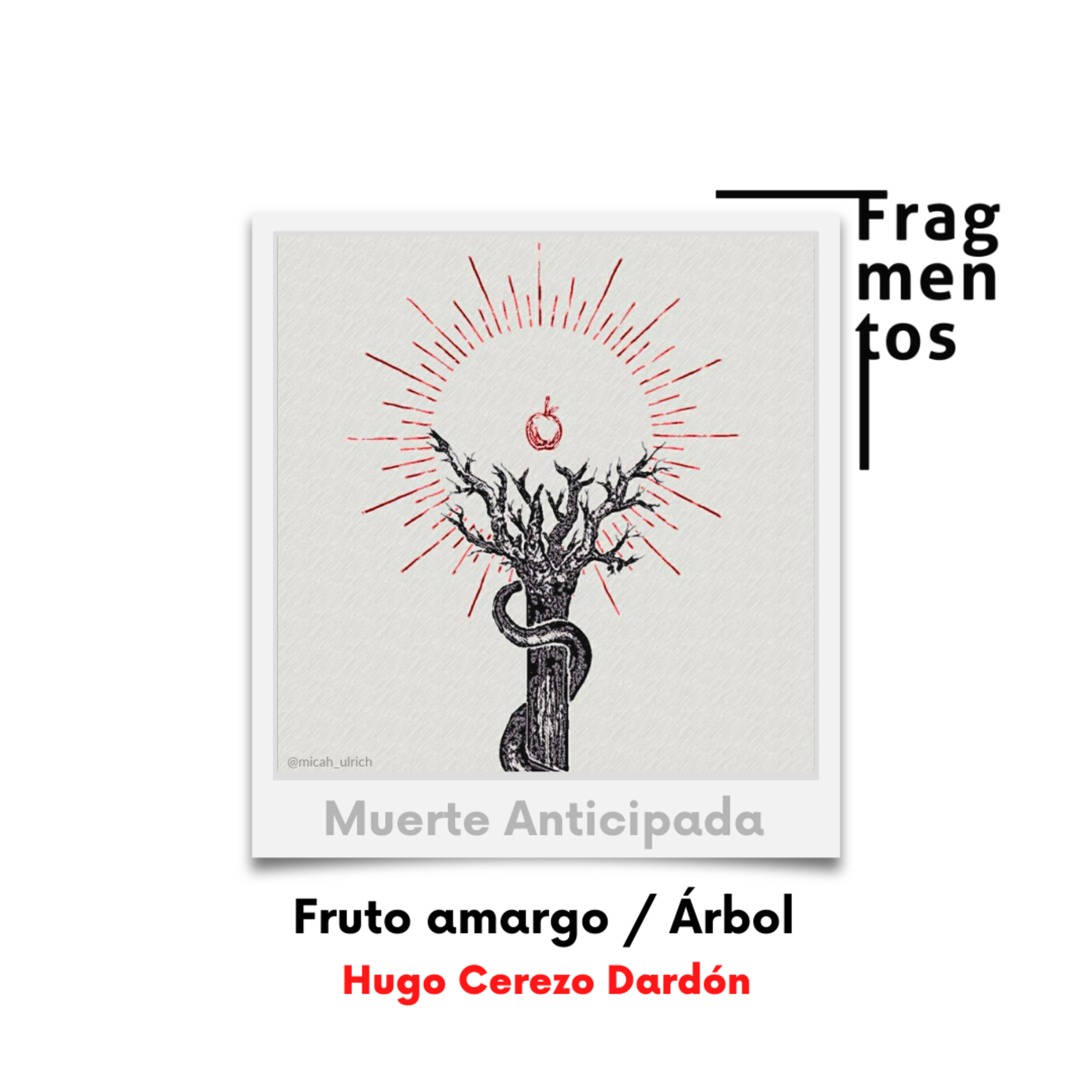 Fruto amargo / Árbol - Hugo Cerezo Dardón episode artwork