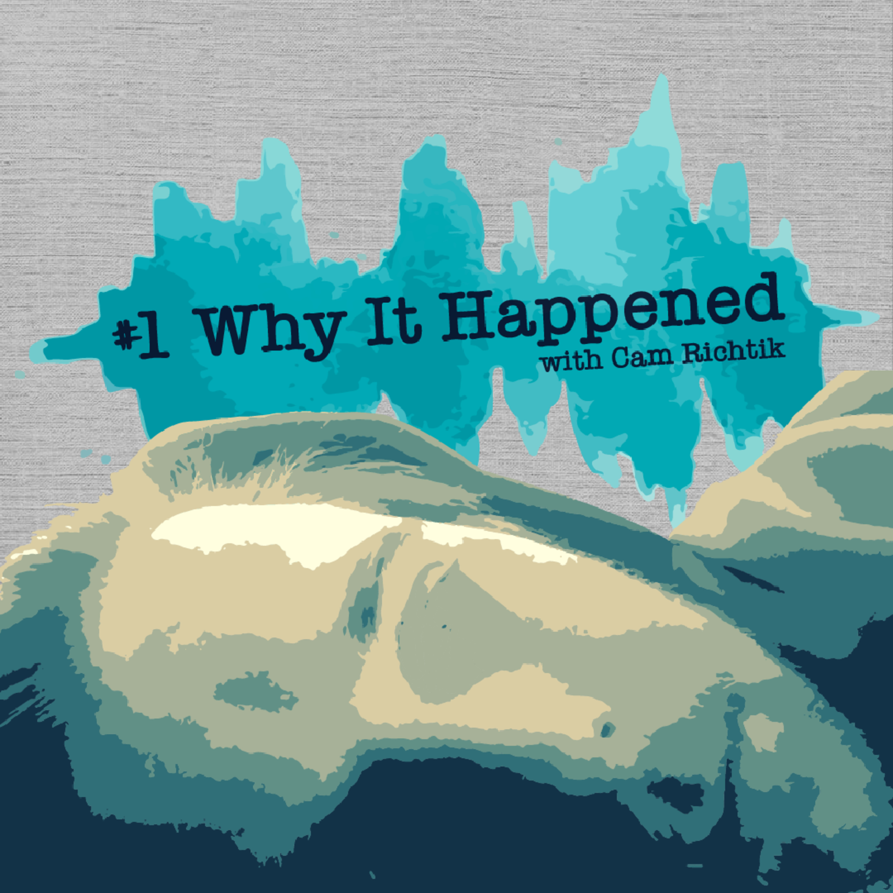 #1 Why it Happened