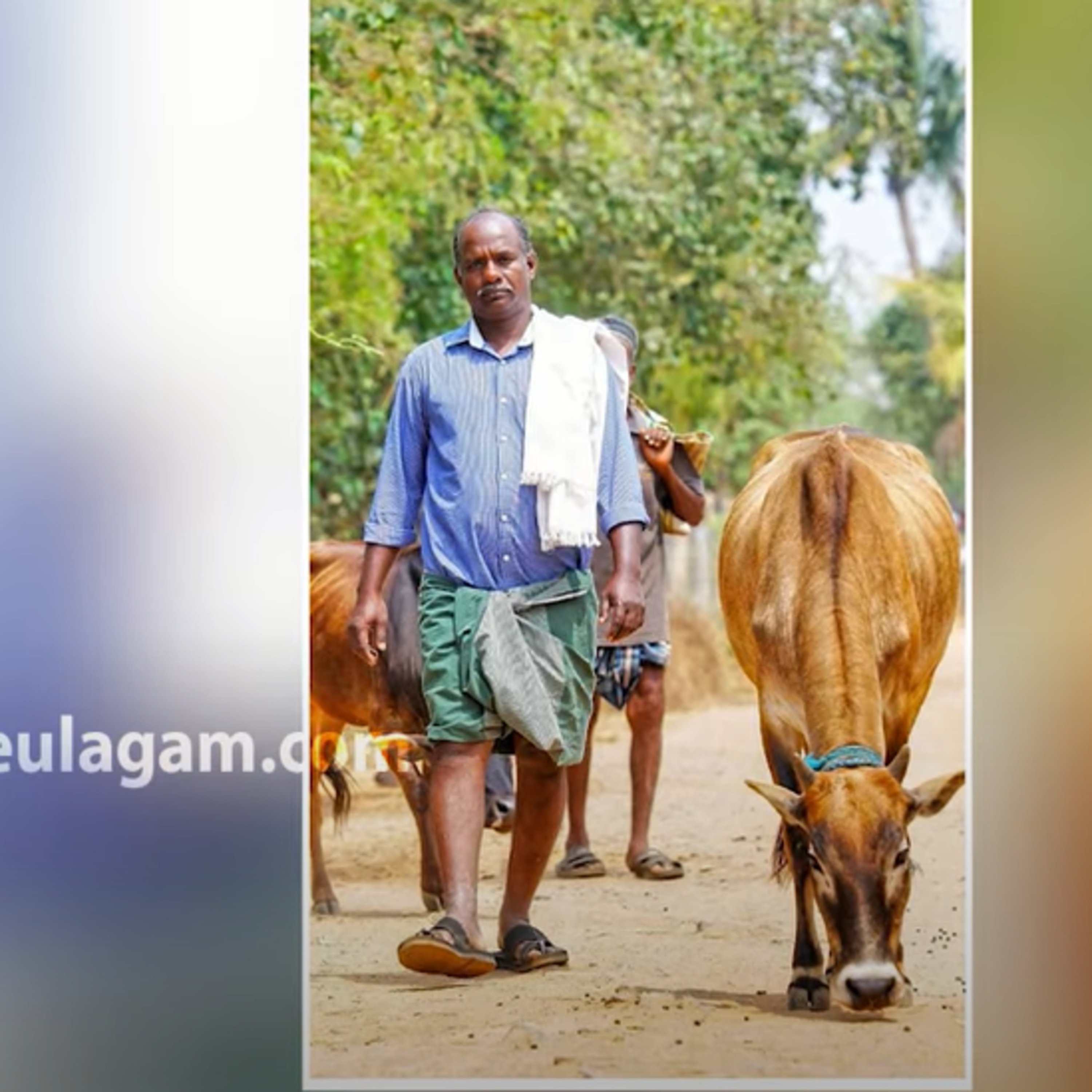 Writer Kanmani Gunasekaran reveals about Jai Bhim Movie episode artwork