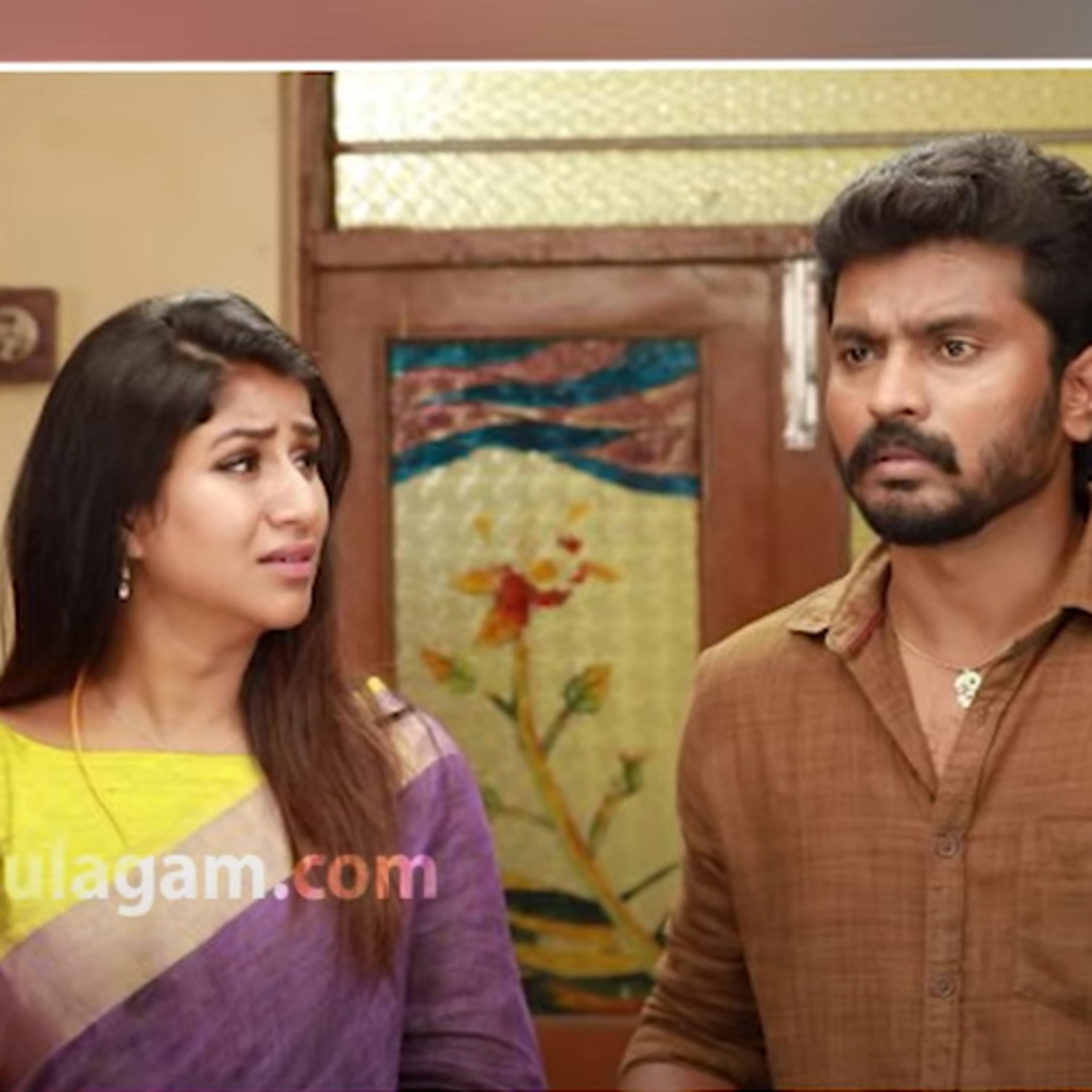 Alya Manasa to quit from Vijay Tv Raja Rani 2 Serial? episode artwork
