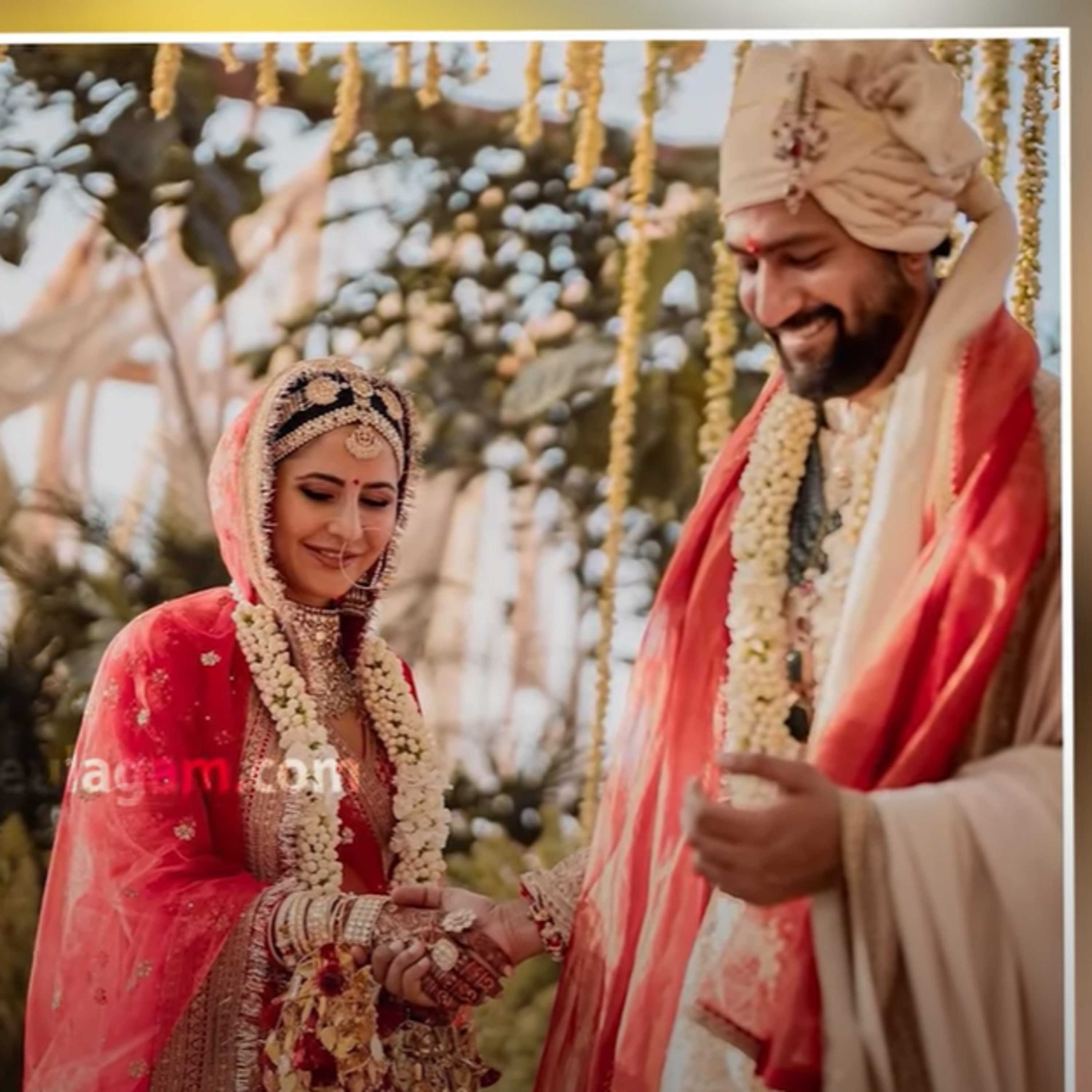 Vicky kaushal & Katrina Kaif ties the knot in a grand way episode artwork