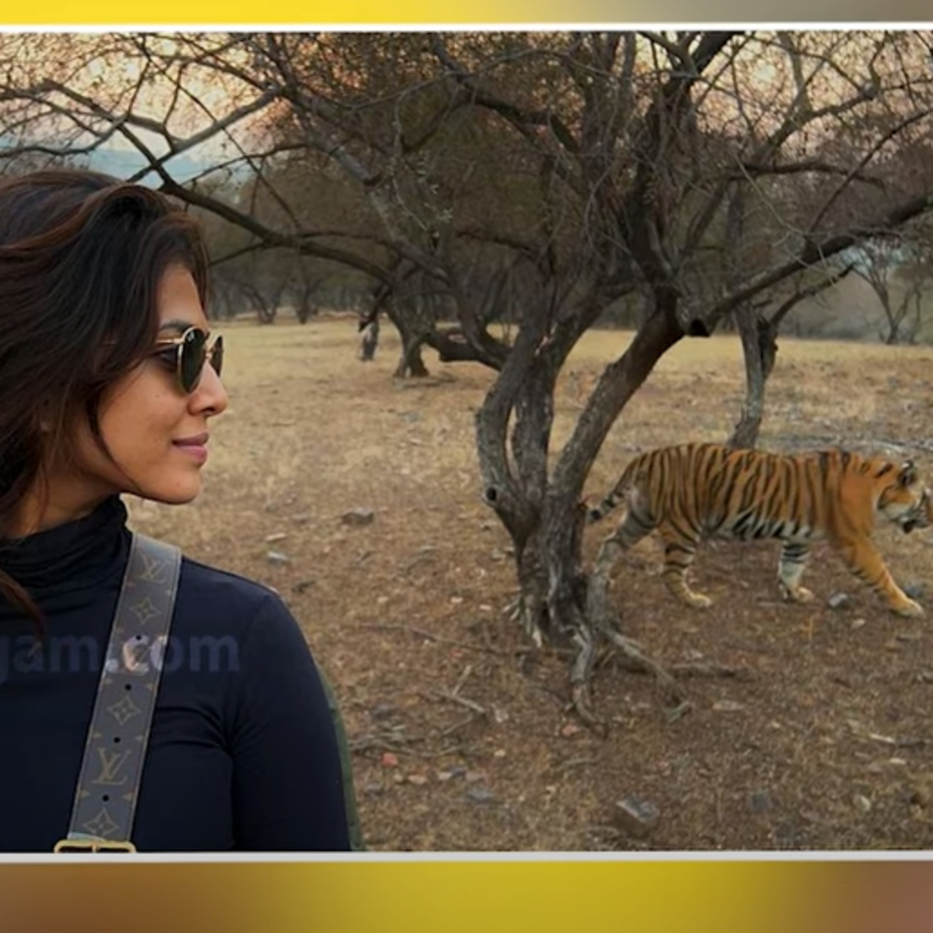 Malavika Mohanan Photoshoot with Tiger - Ranthambore Park episode artwork