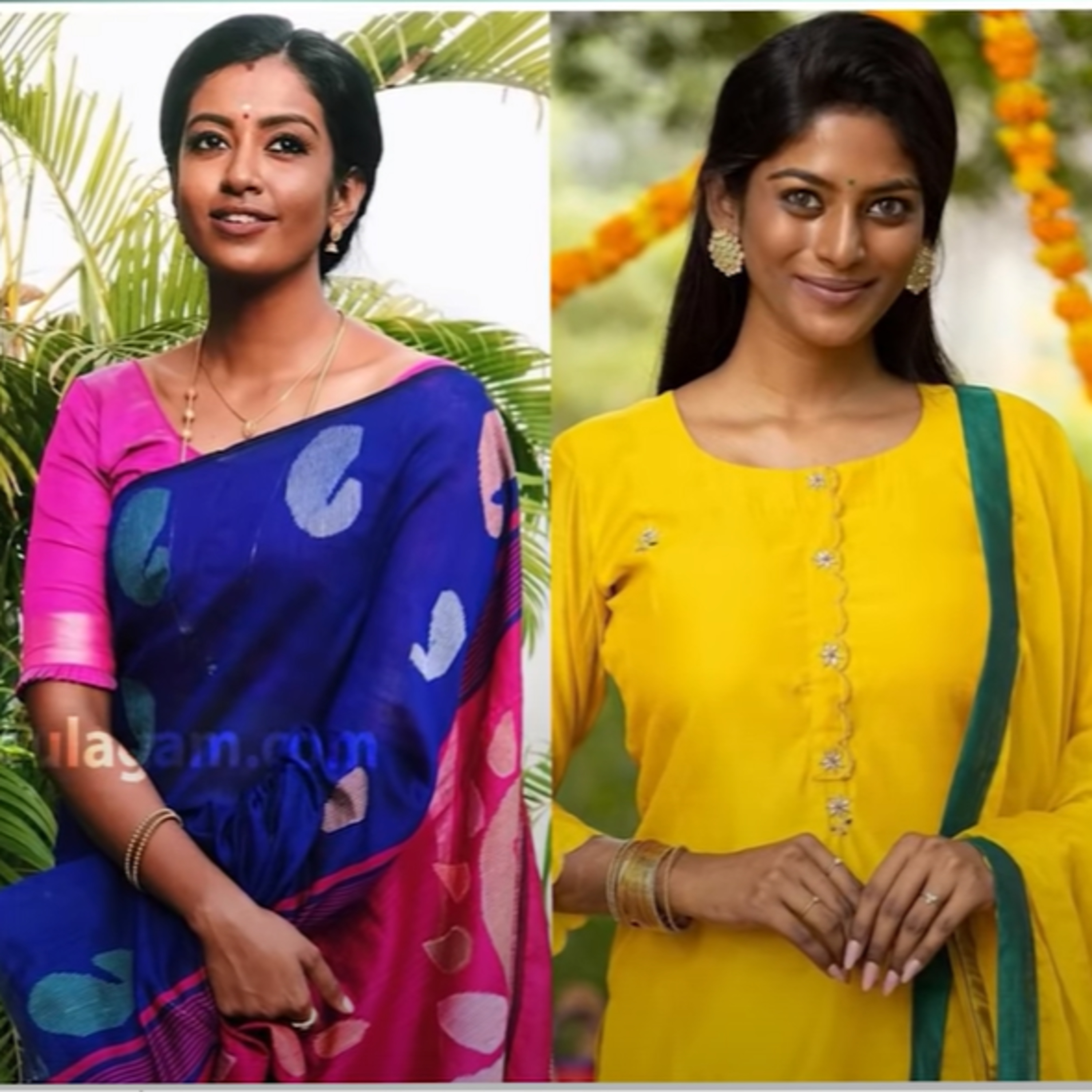 Vijay TV Bharathi Kannamma serial to end? episode artwork