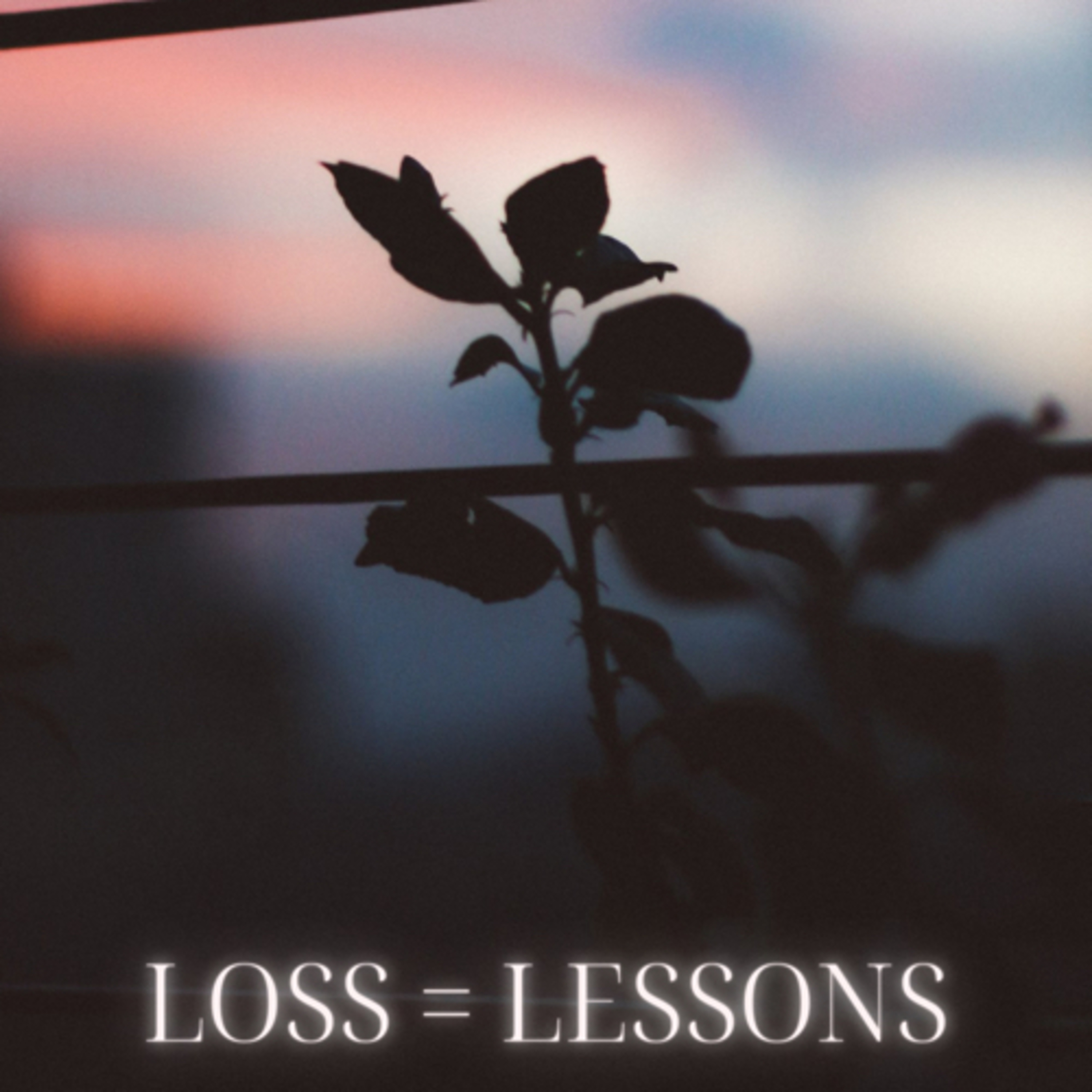 Loss = Lessons