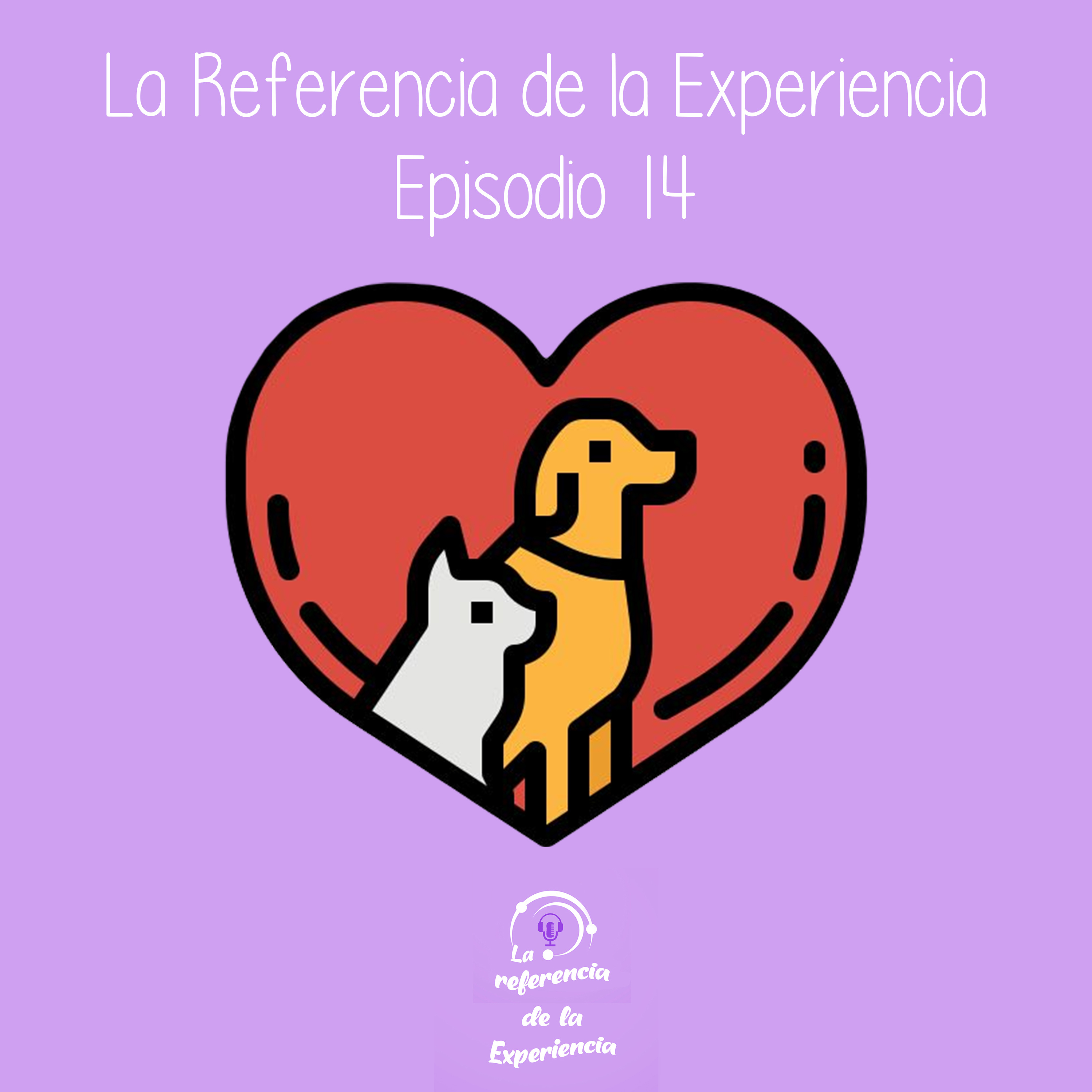 La Referencia de la Experiencia
