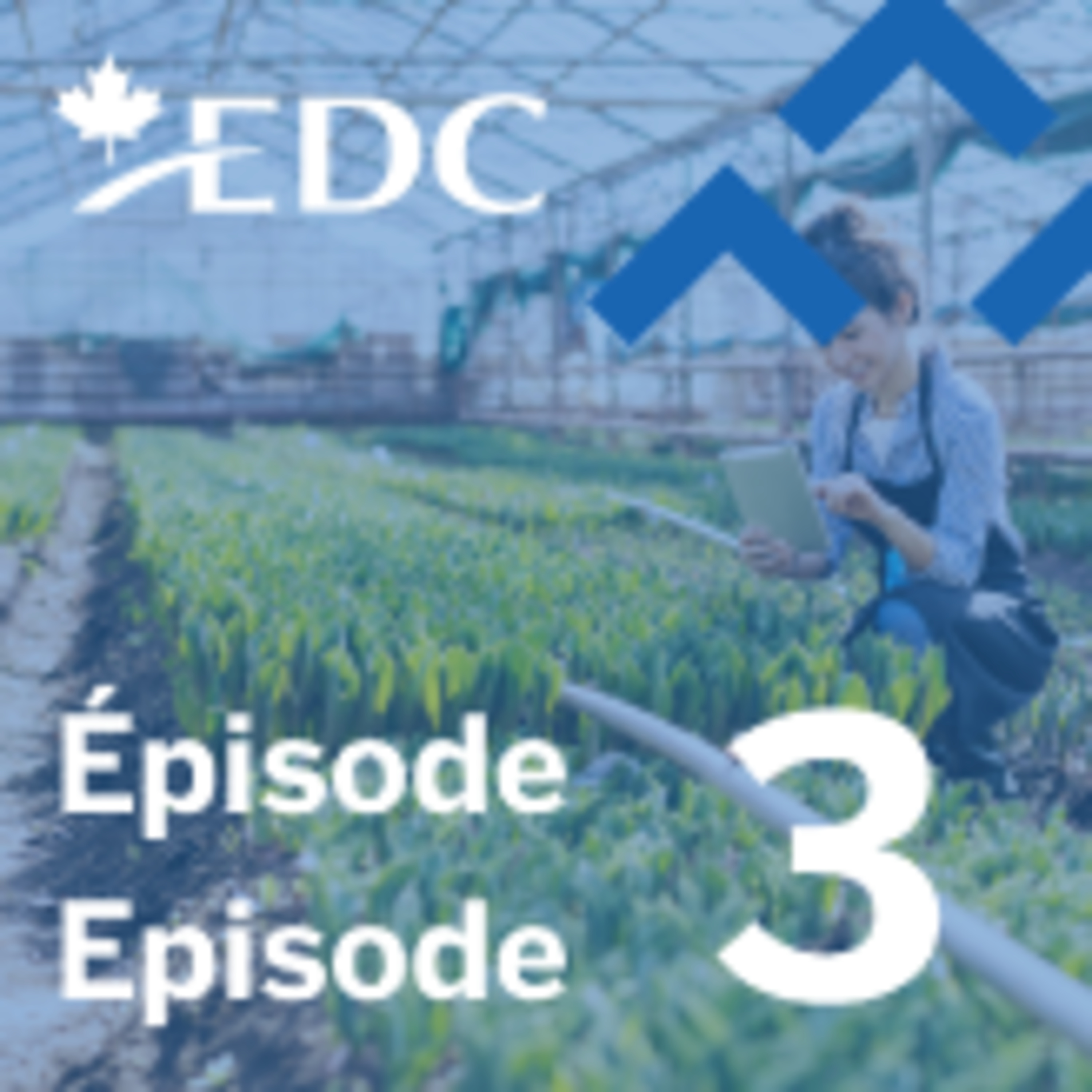 EDC Trends in Trade / Tendances du commerce international d’EDC