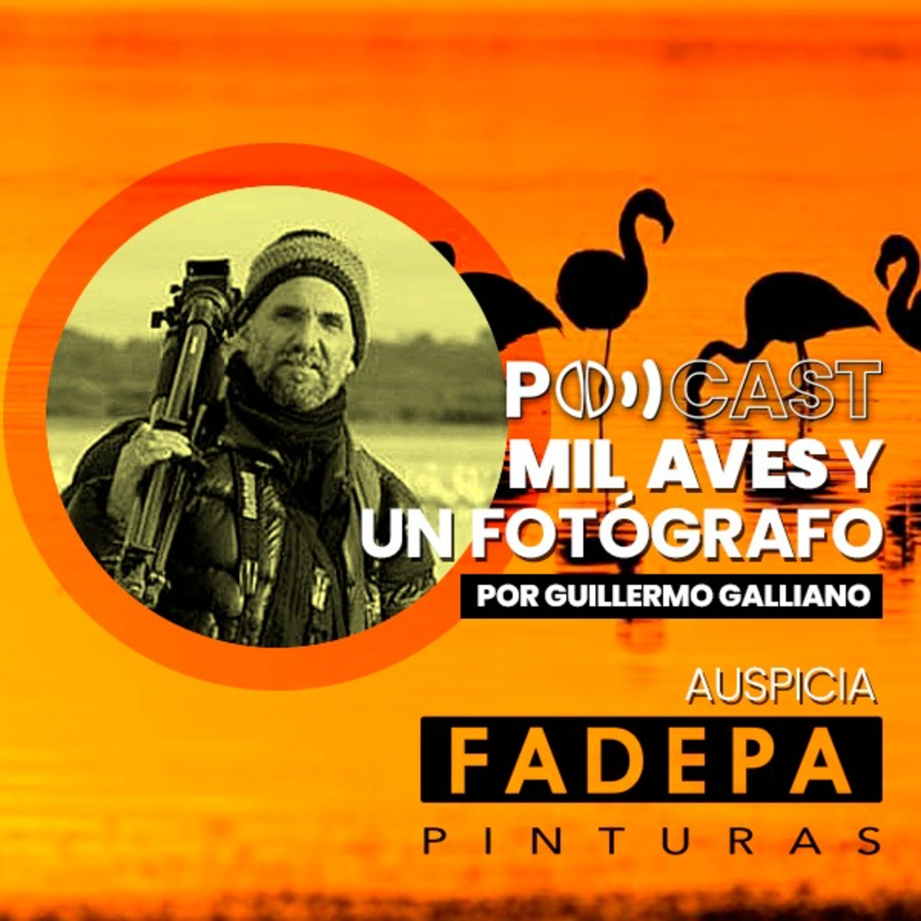 Mil Aves y un Fotógrafo