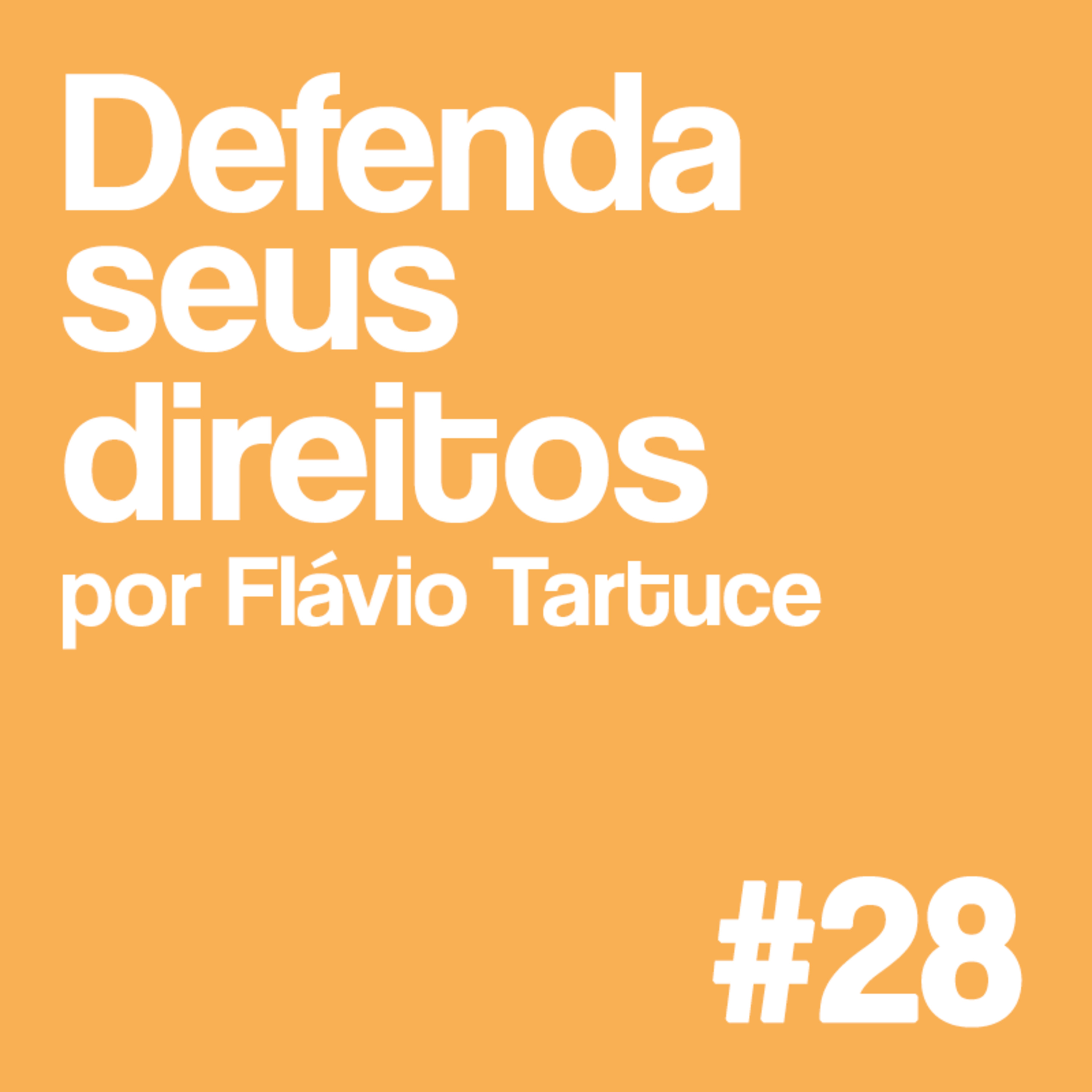 #28 Defenda seus Direitos: Eficácia horizontal dos Direitos Fundamentais e as aplicações ao Direito Civil
