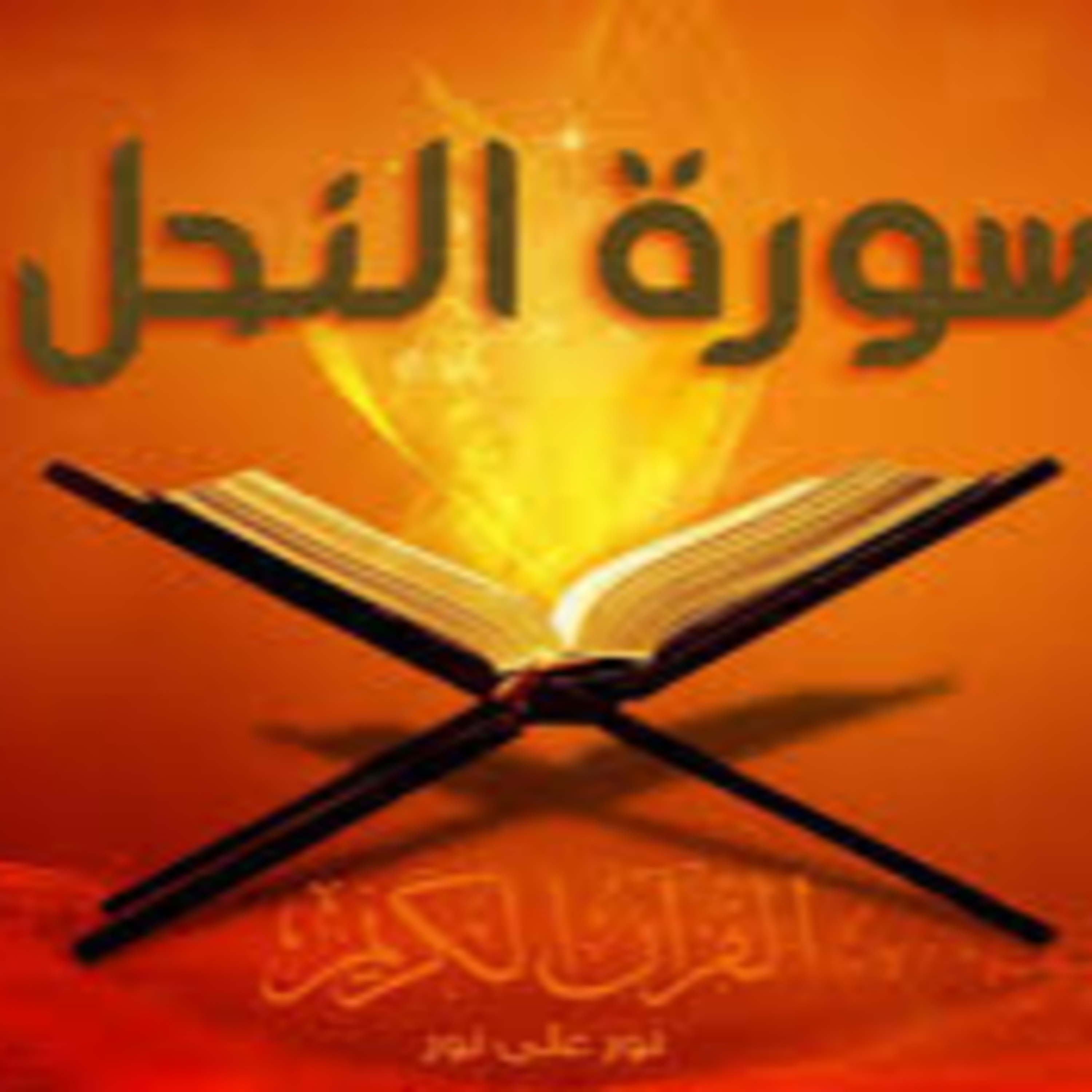 Full Holy Quran القرآن الكريم كاملا بتلاوة أفضل القراء
