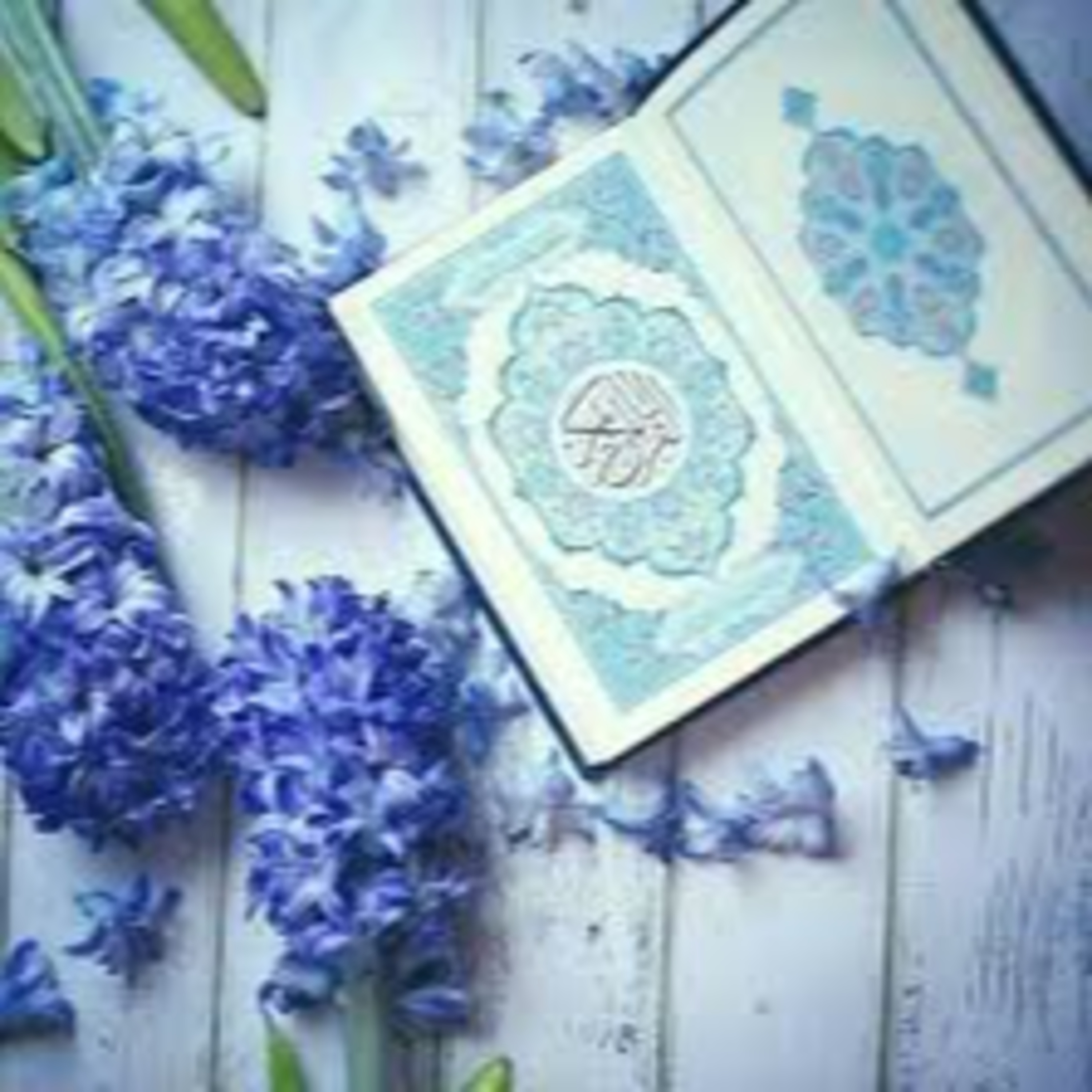 Full Holy Quran القرآن الكريم كاملا بتلاوة أفضل القراء