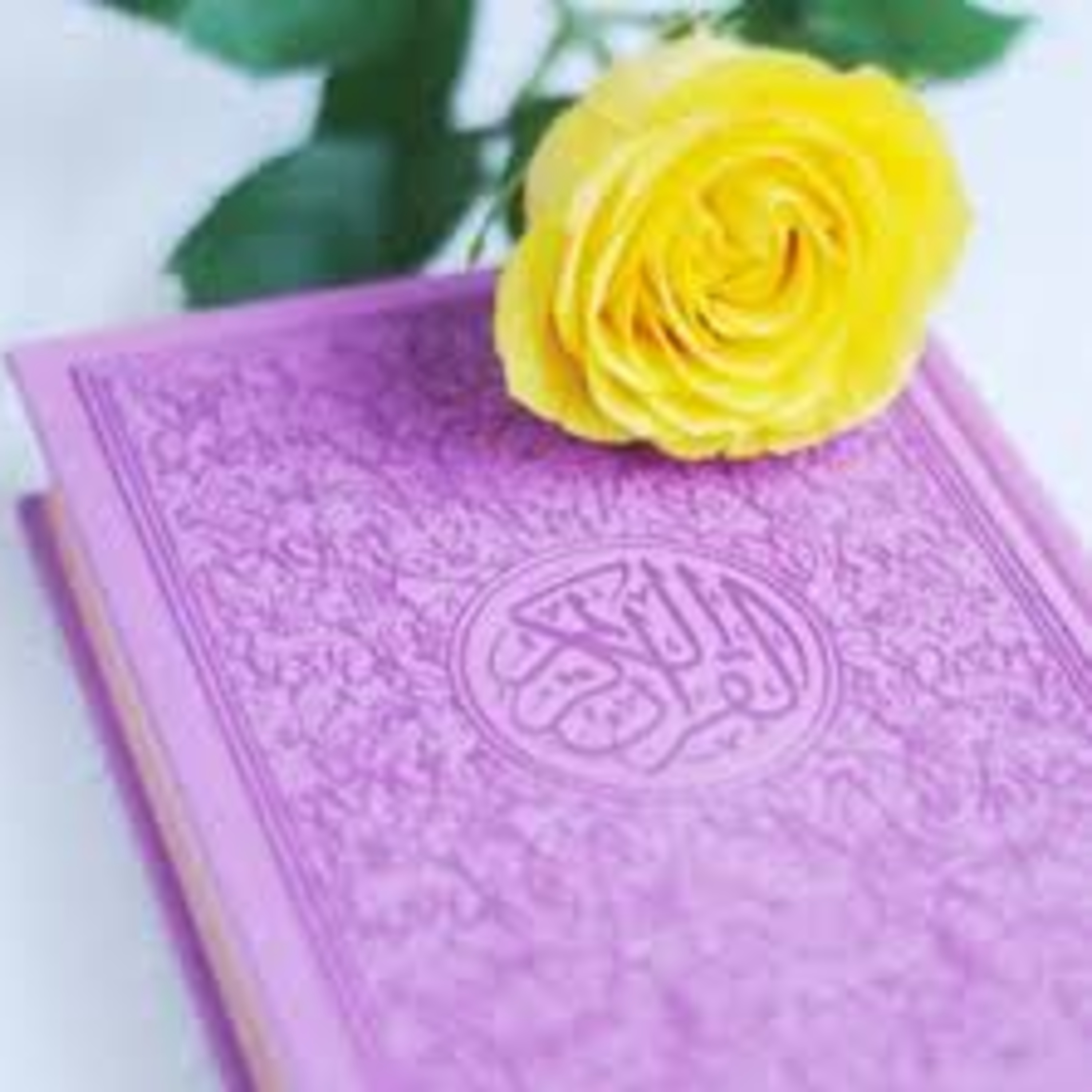 Full Holy Quran القرآن الكريم كاملا بتلاوة أفضل القراء