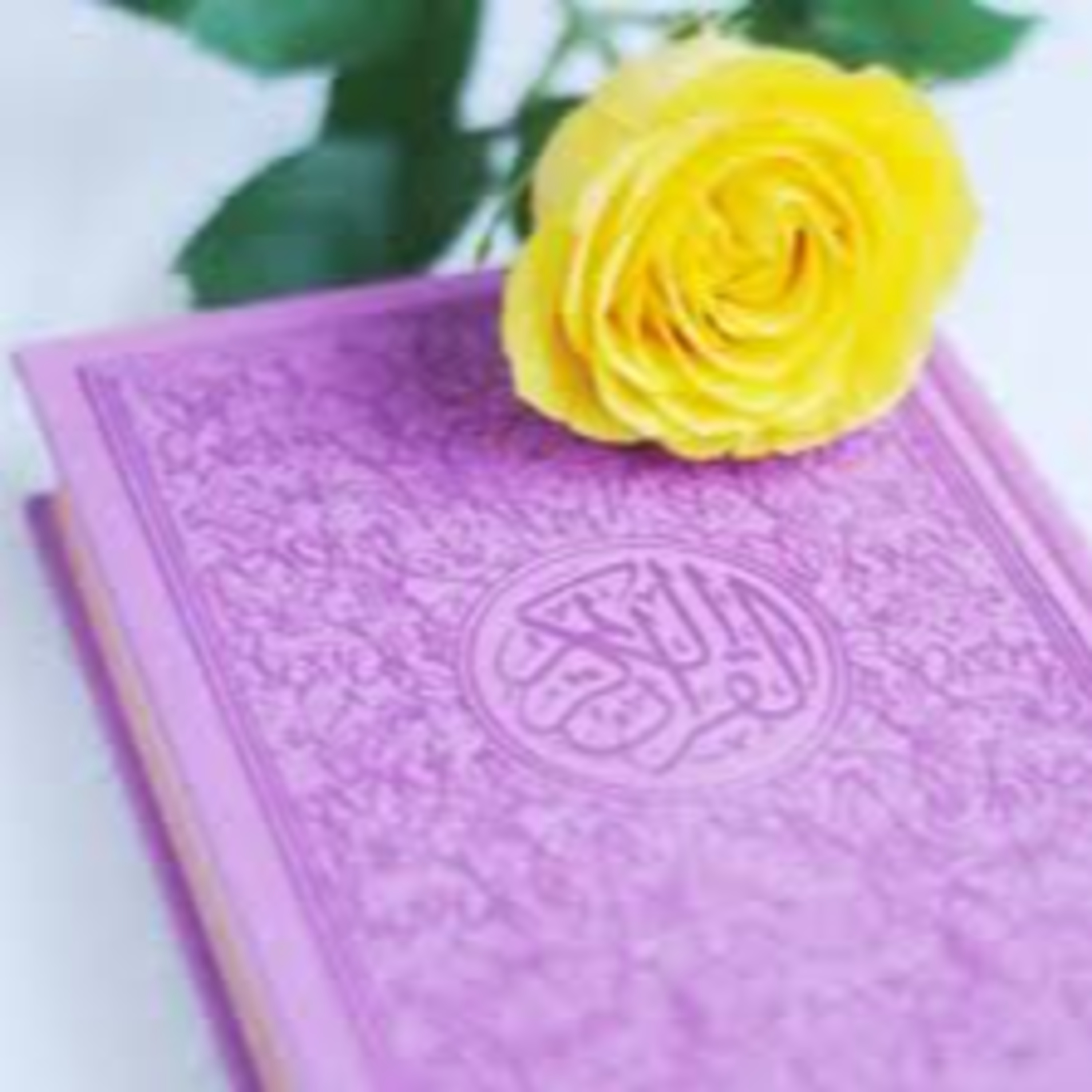 Full Holy Quran القرآن الكريم كاملا بتلاوة أفضل القراء