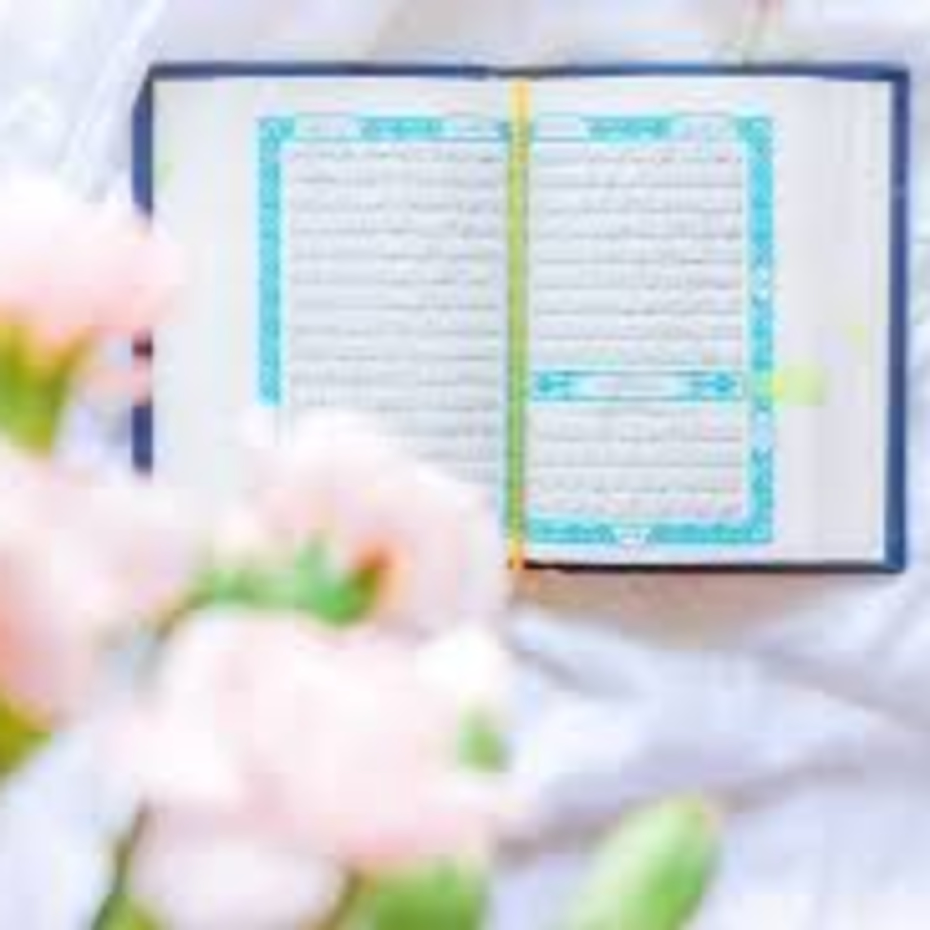 Full Holy Quran القرآن الكريم كاملا بتلاوة أفضل القراء