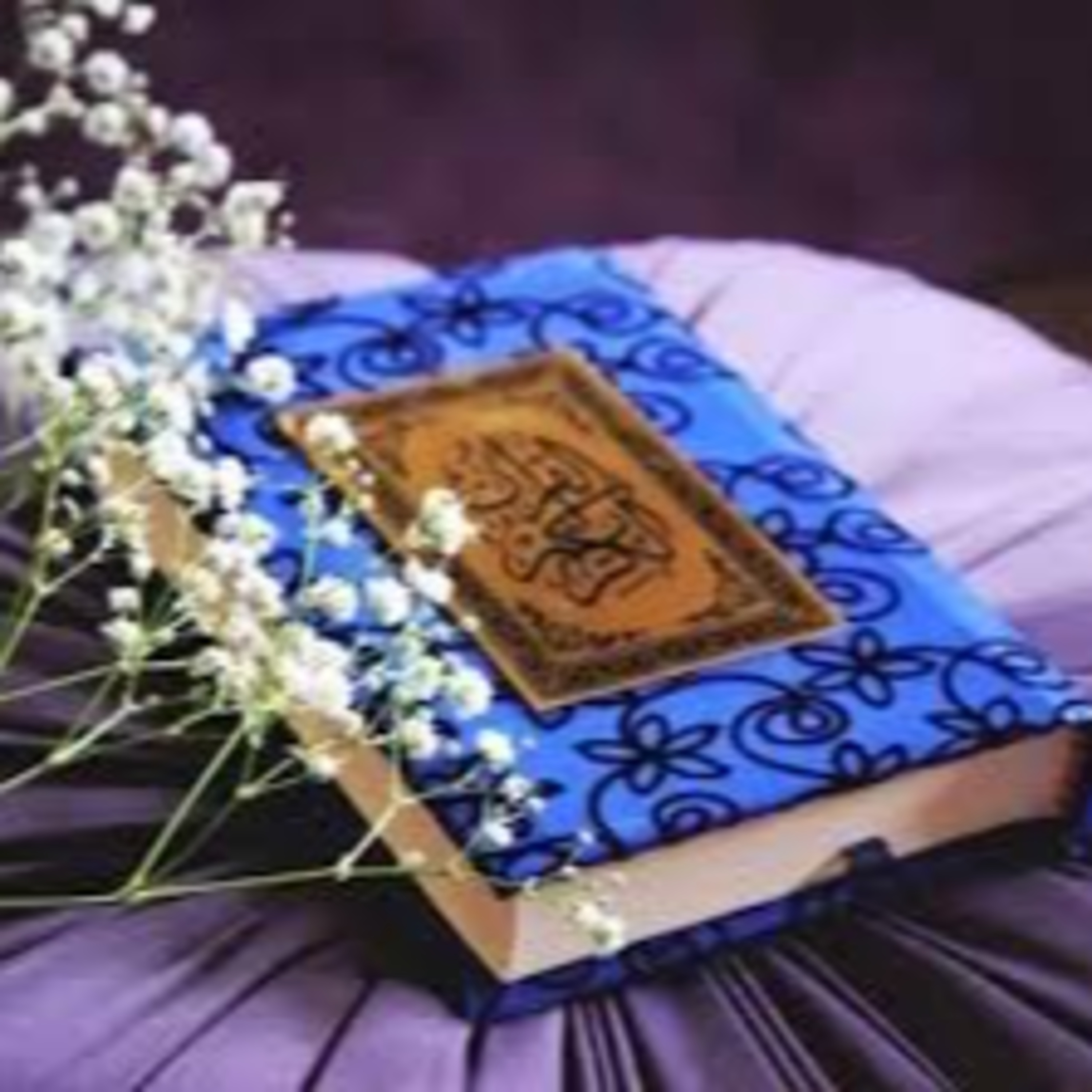 Full Holy Quran القرآن الكريم كاملا بتلاوة أفضل القراء