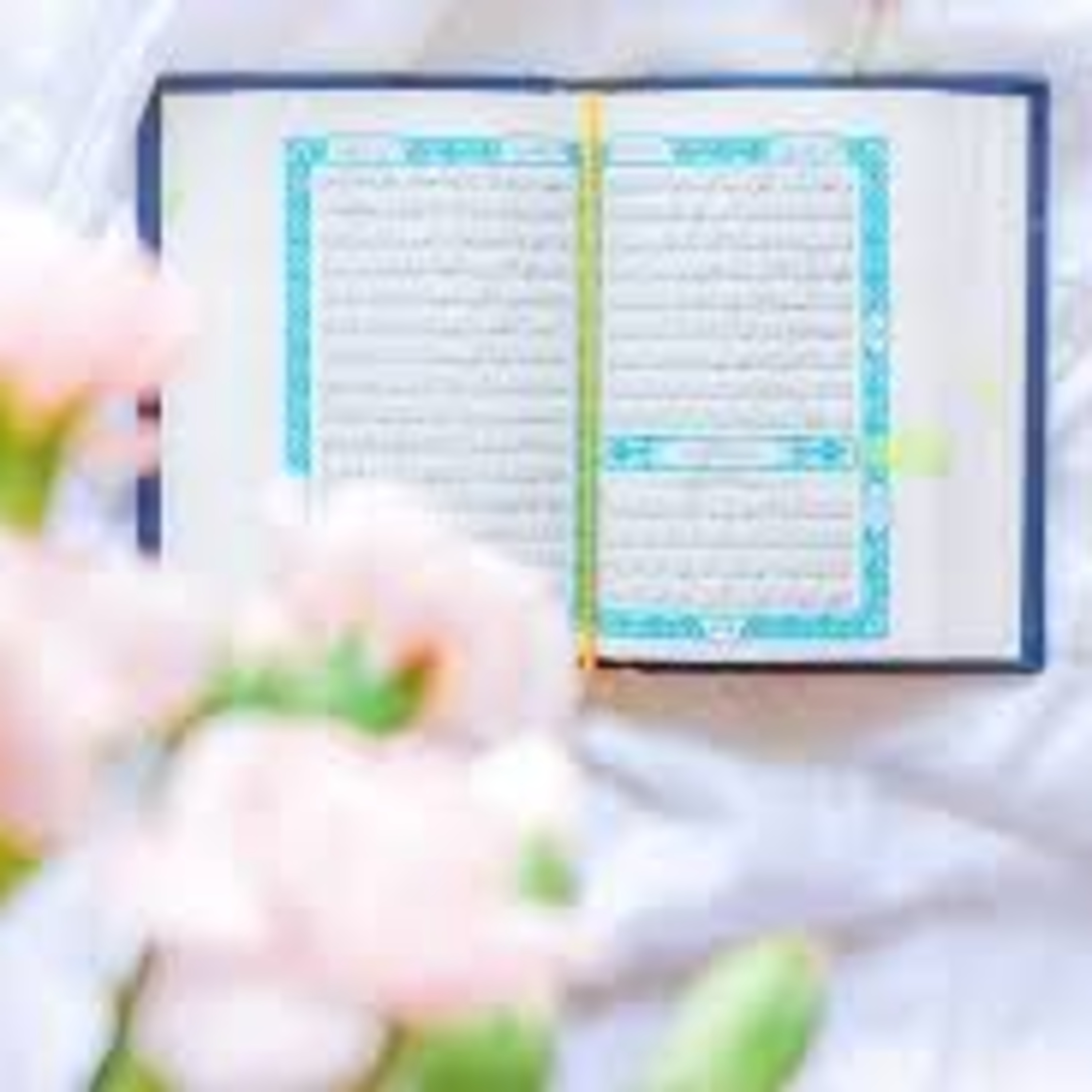 Full Holy Quran القرآن الكريم كاملا بتلاوة أفضل القراء