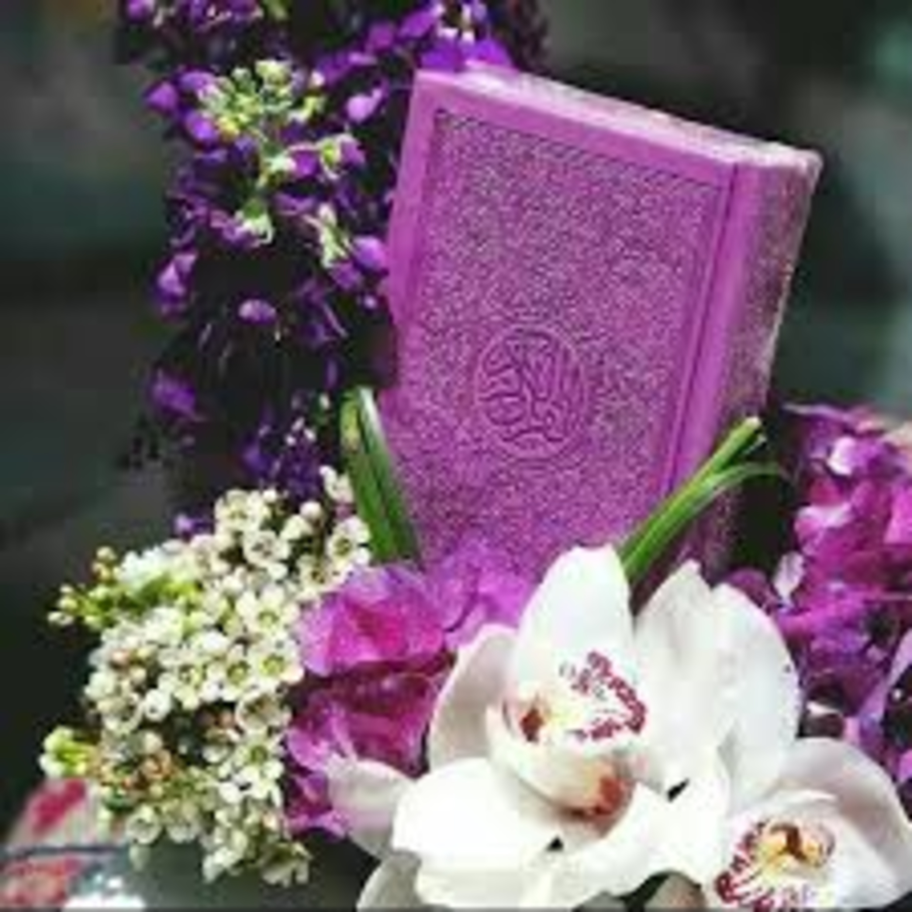 Full Holy Quran القرآن الكريم كاملا بتلاوة أفضل القراء