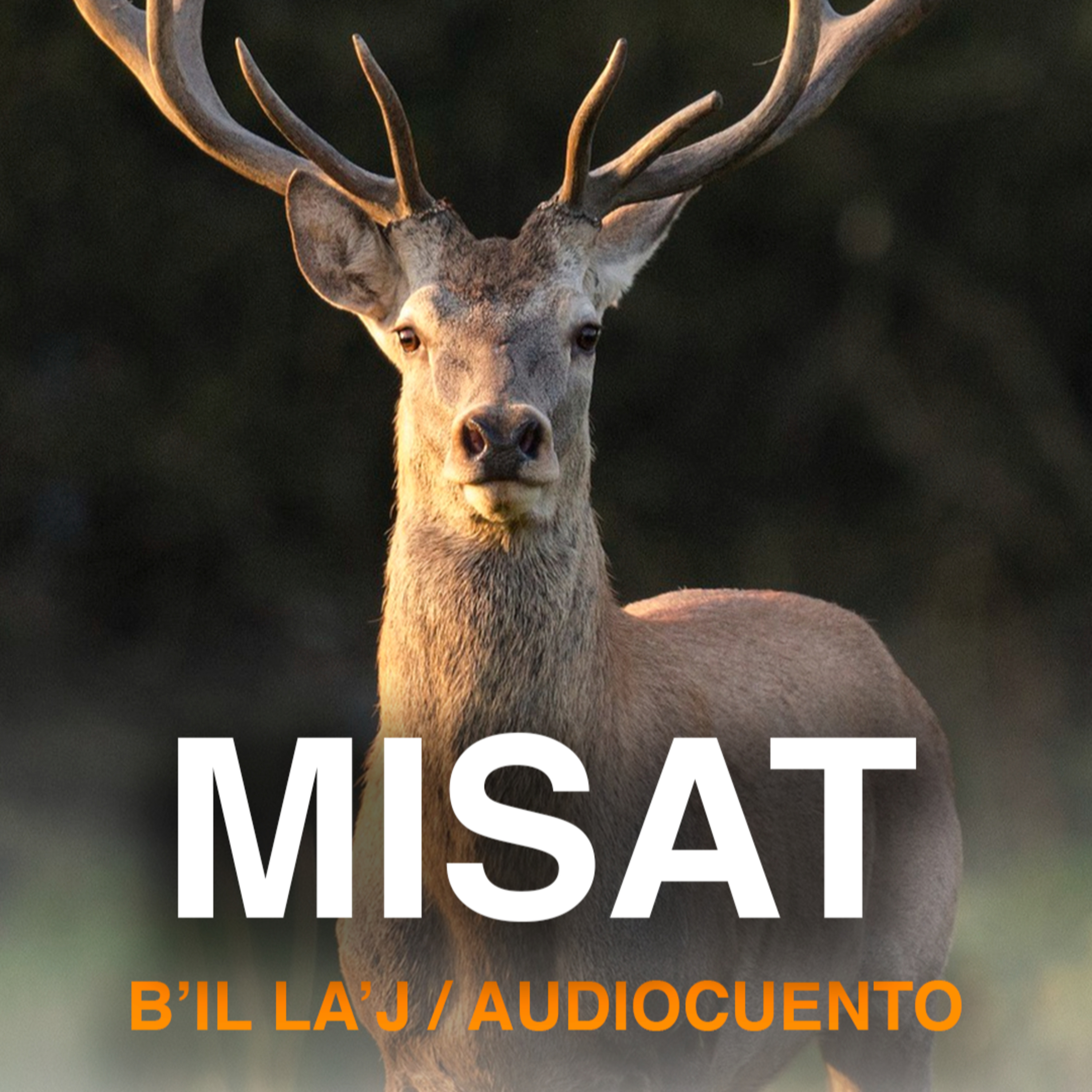 Comunidad Lingüística Mam - ALMG